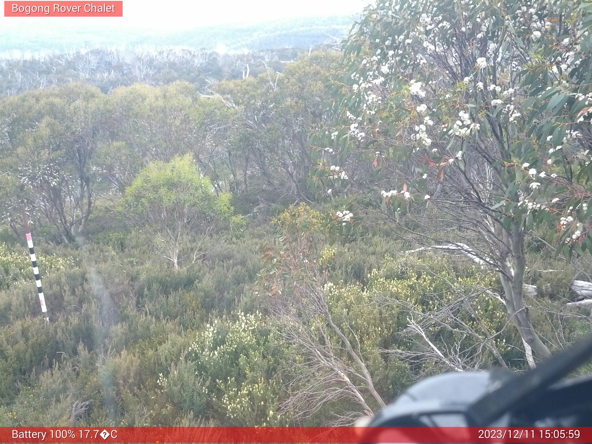 Bogong Web Cam 3:05pm Monday 11th of December 2023