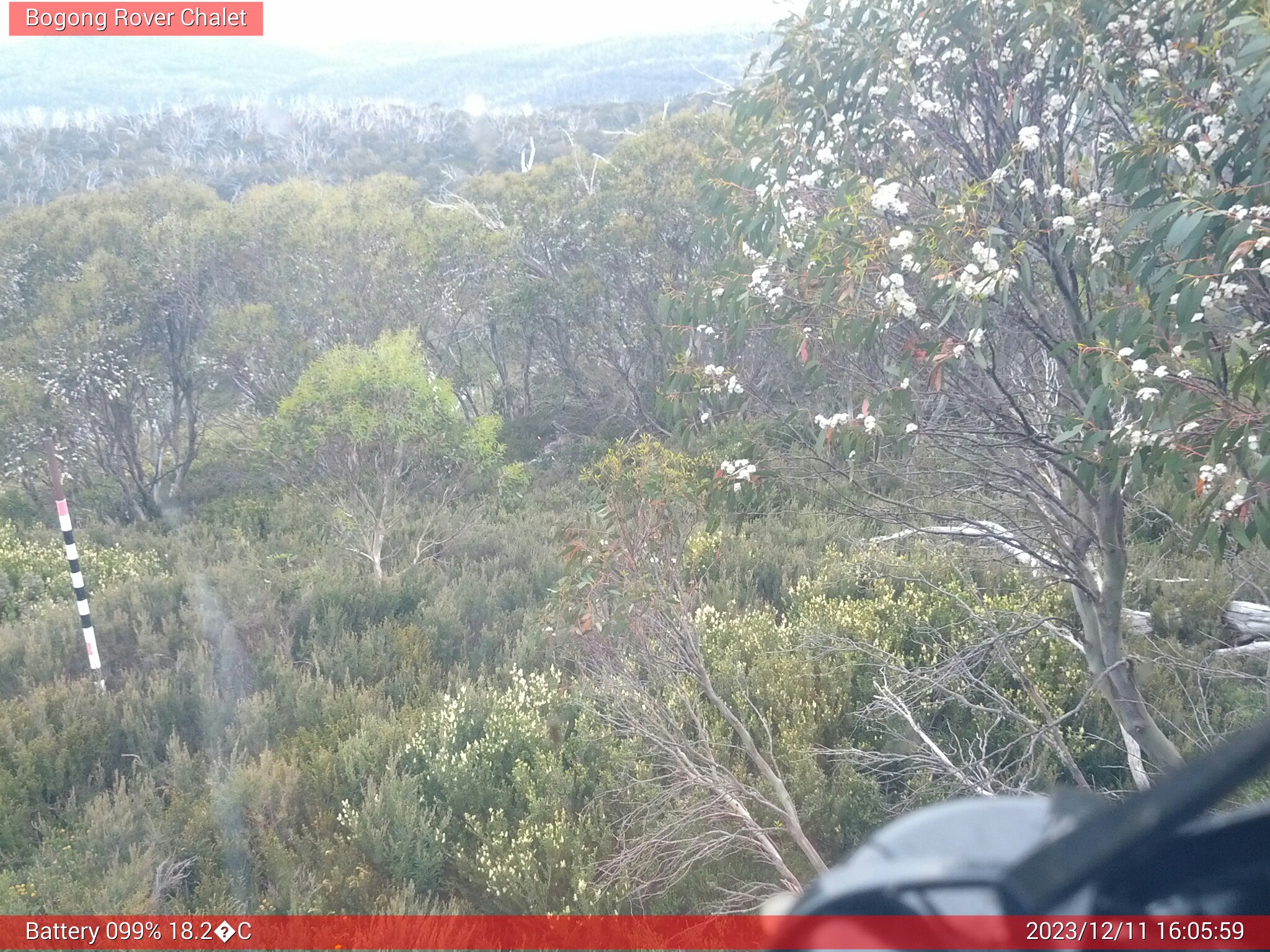 Bogong Web Cam 4:05pm Monday 11th of December 2023