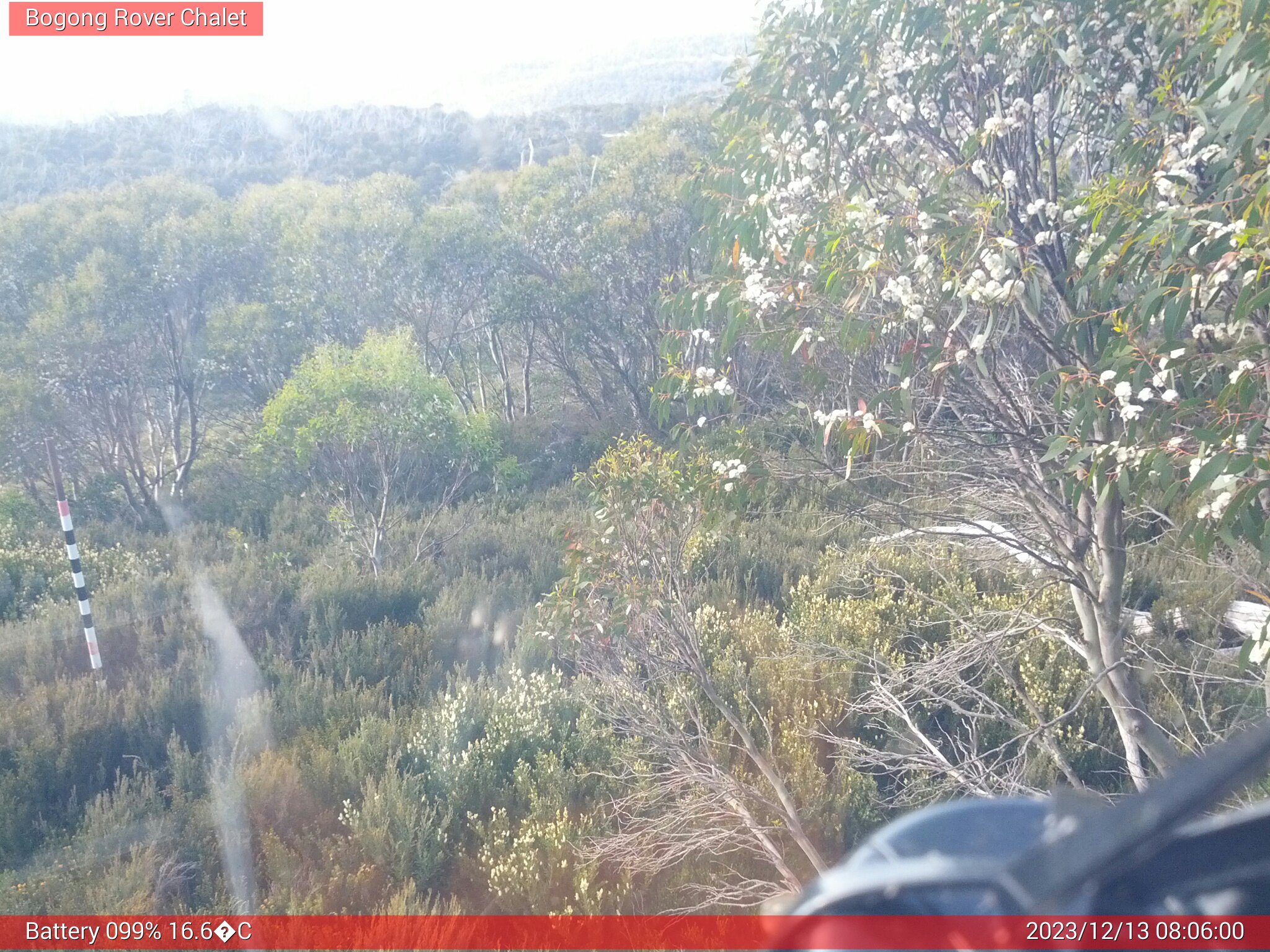 Bogong Web Cam 8:06am Wednesday 13th of December 2023