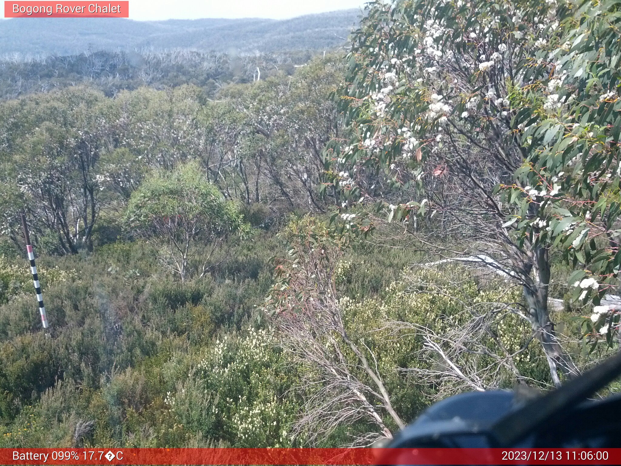 Bogong Web Cam 11:05am Wednesday 13th of December 2023