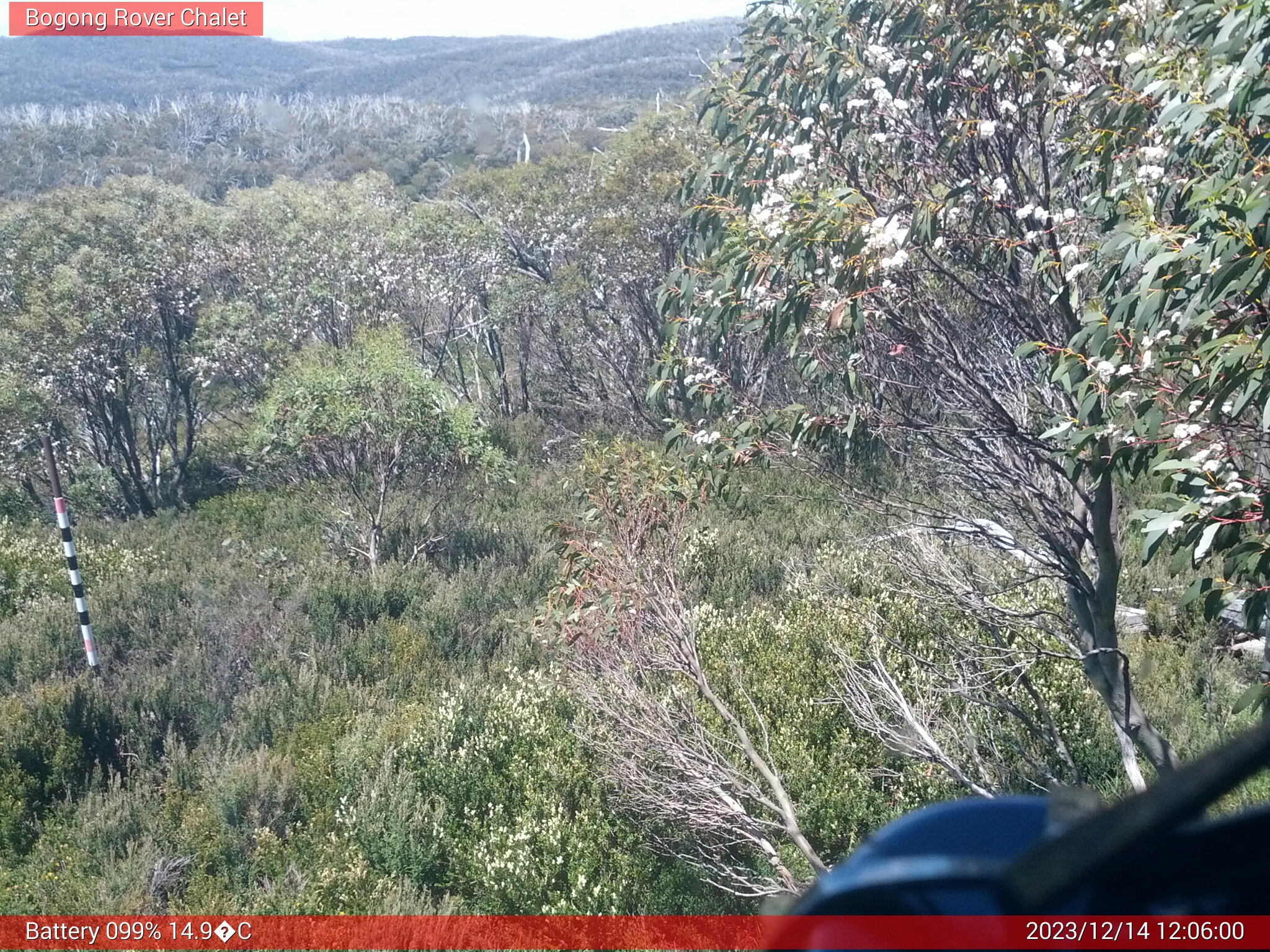 Bogong Web Cam 12:06pm Thursday 14th of December 2023