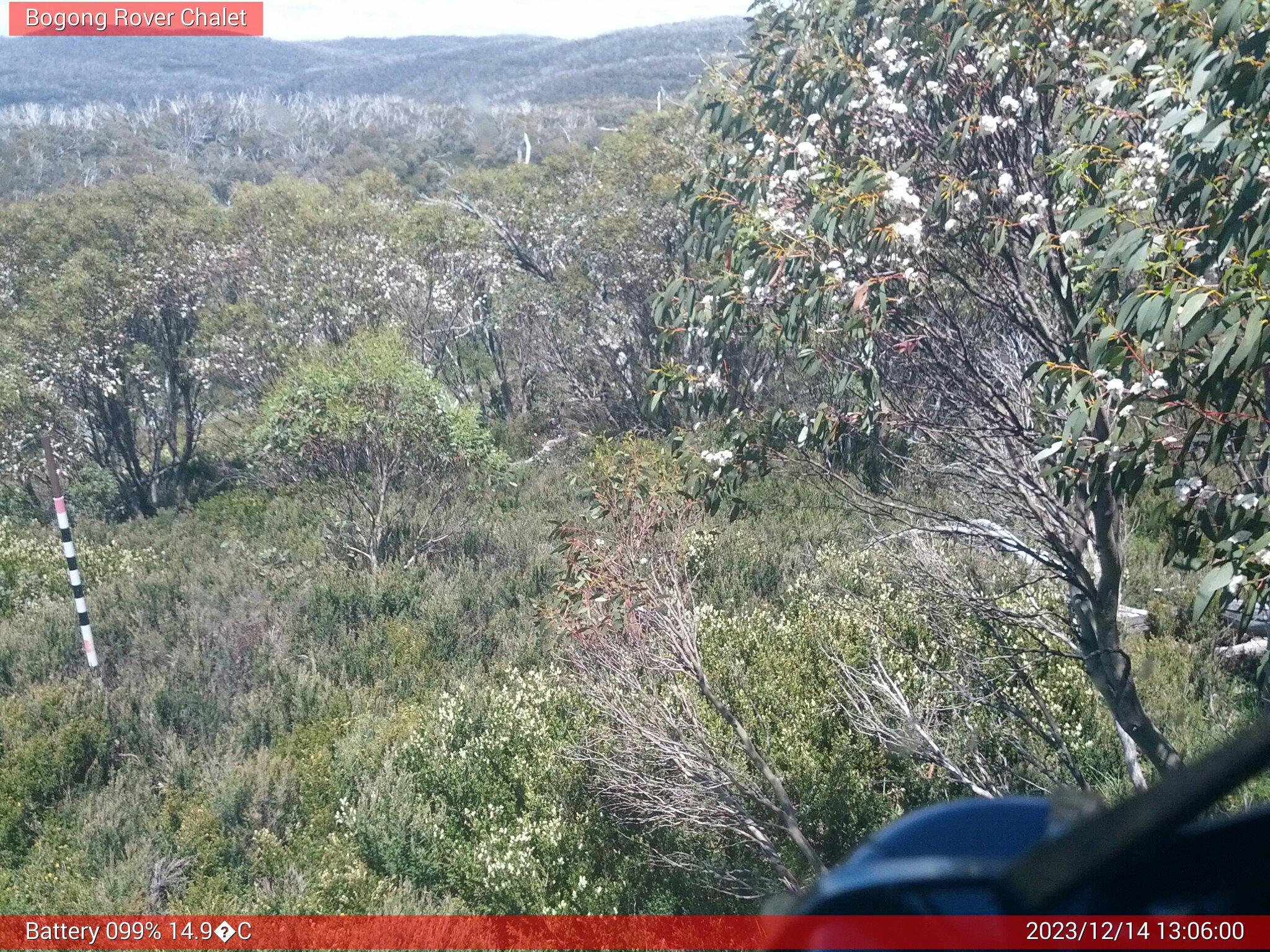 Bogong Web Cam 1:05pm Thursday 14th of December 2023