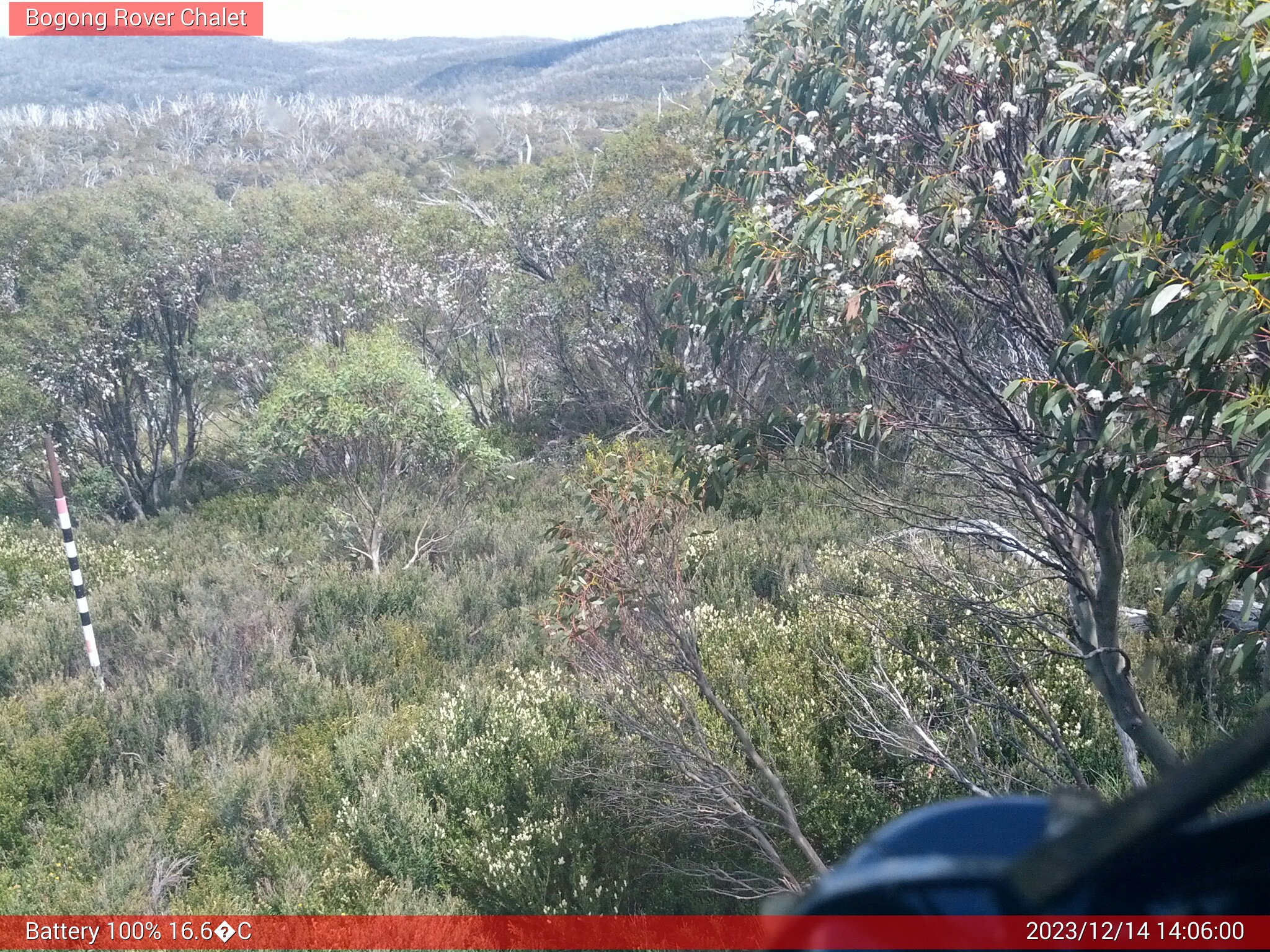 Bogong Web Cam 2:05pm Thursday 14th of December 2023