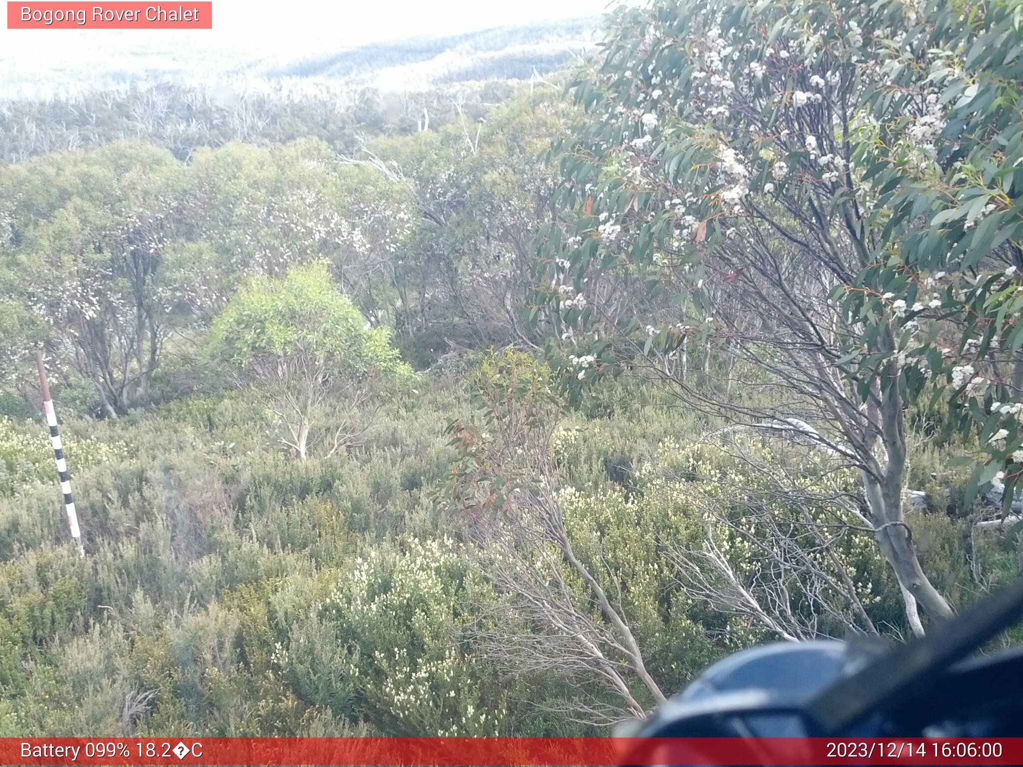 Bogong Web Cam 4:06pm Thursday 14th of December 2023