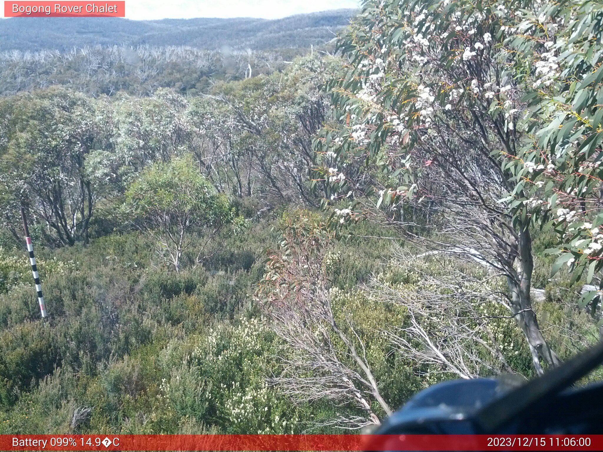 Bogong Web Cam 11:06am Friday 15th of December 2023