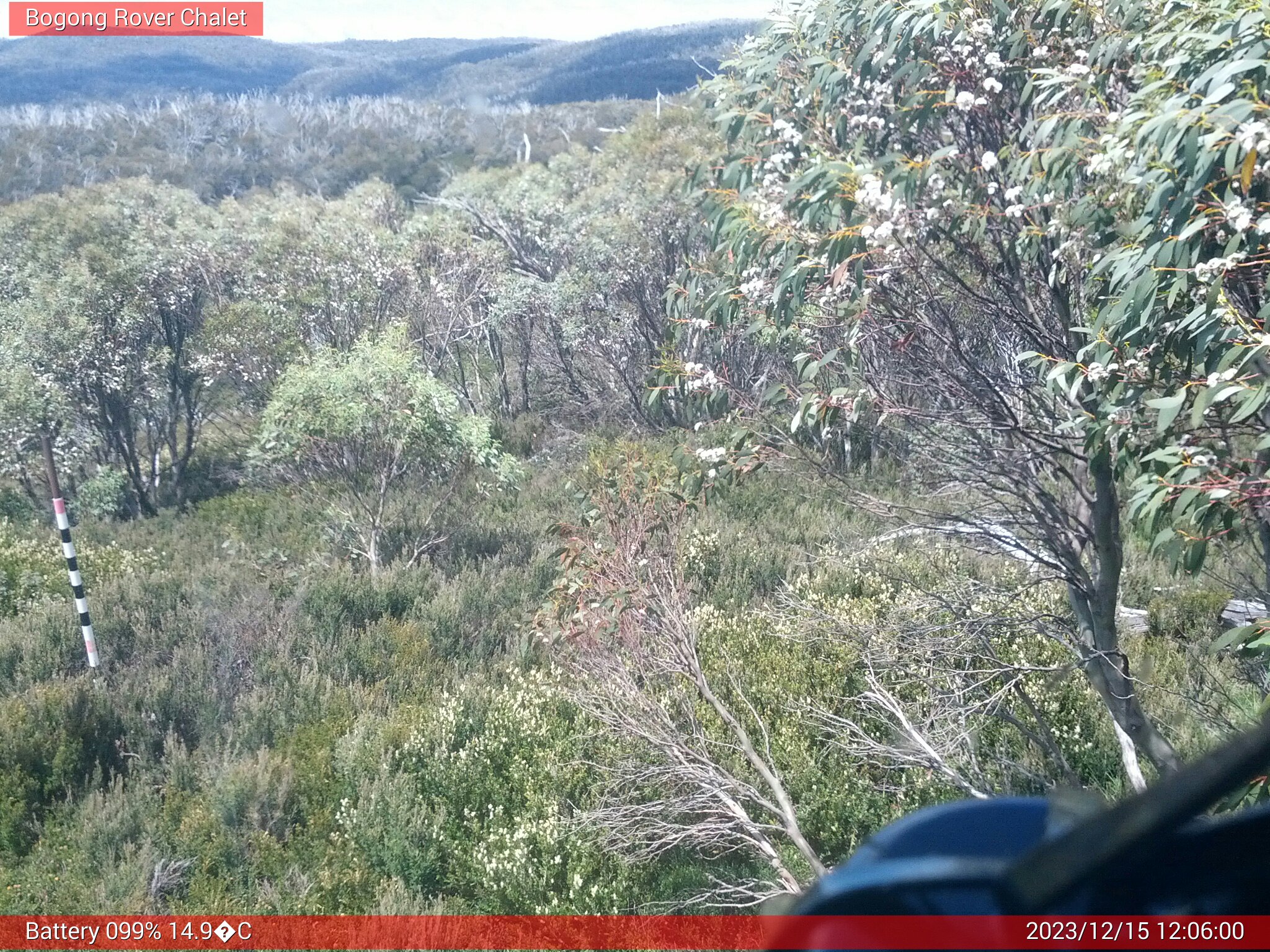 Bogong Web Cam 12:06pm Friday 15th of December 2023