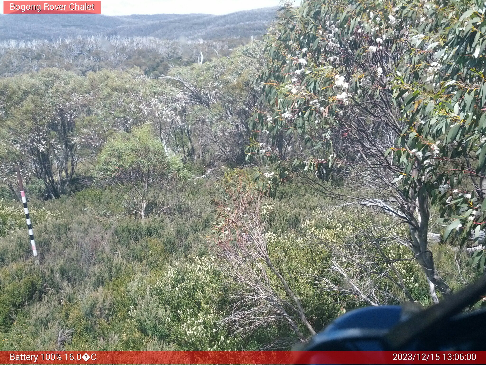 Bogong Web Cam 1:06pm Friday 15th of December 2023