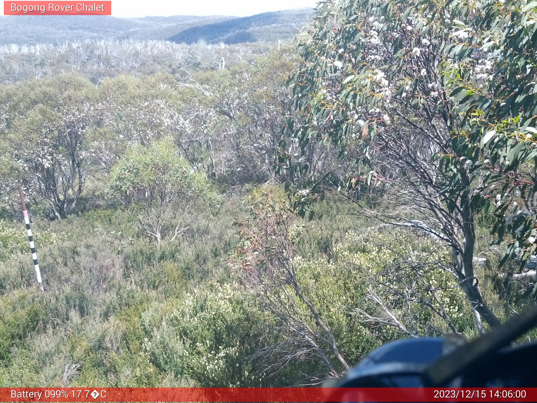 Bogong Web Cam 2:06pm Friday 15th of December 2023