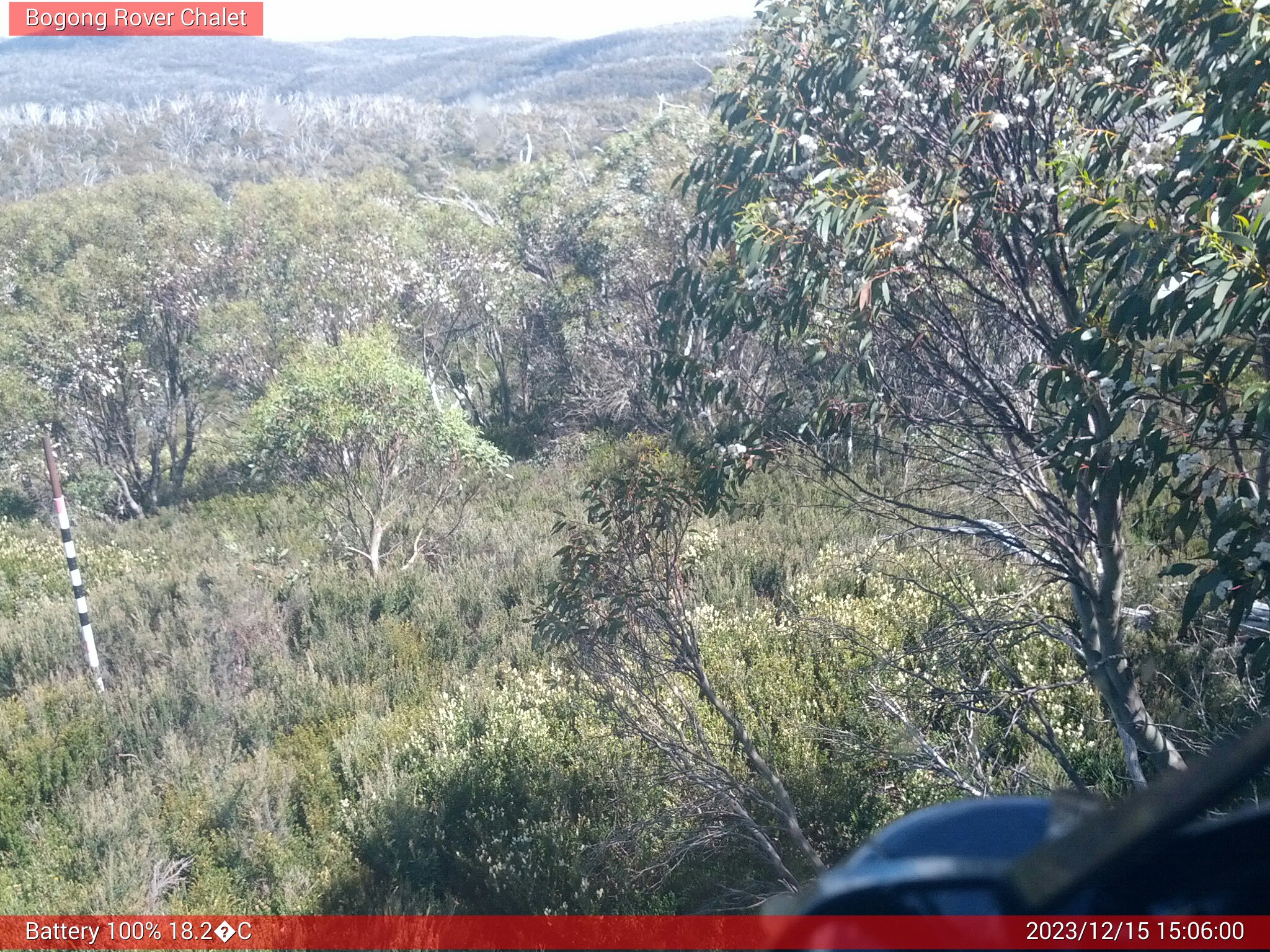 Bogong Web Cam 3:06pm Friday 15th of December 2023