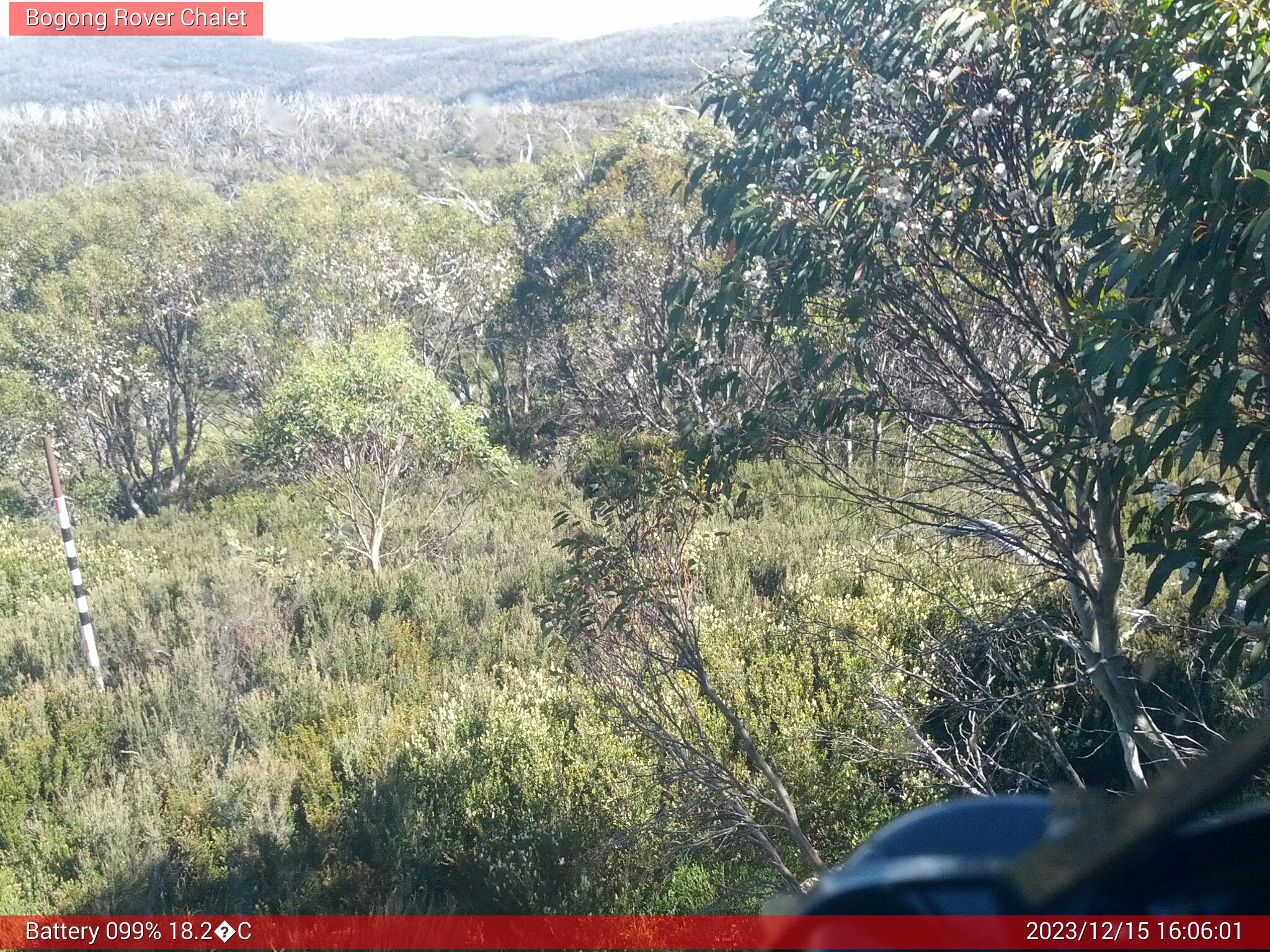 Bogong Web Cam 4:06pm Friday 15th of December 2023