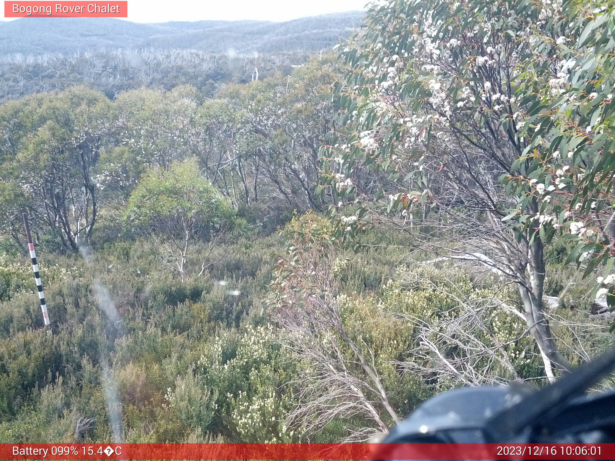 Bogong Web Cam 10:06am Saturday 16th of December 2023