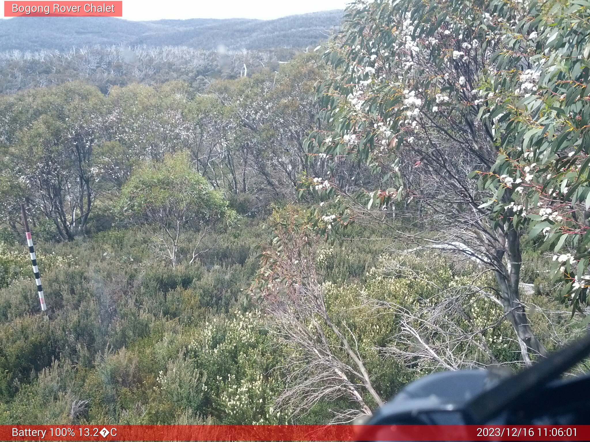 Bogong Web Cam 11:06am Saturday 16th of December 2023