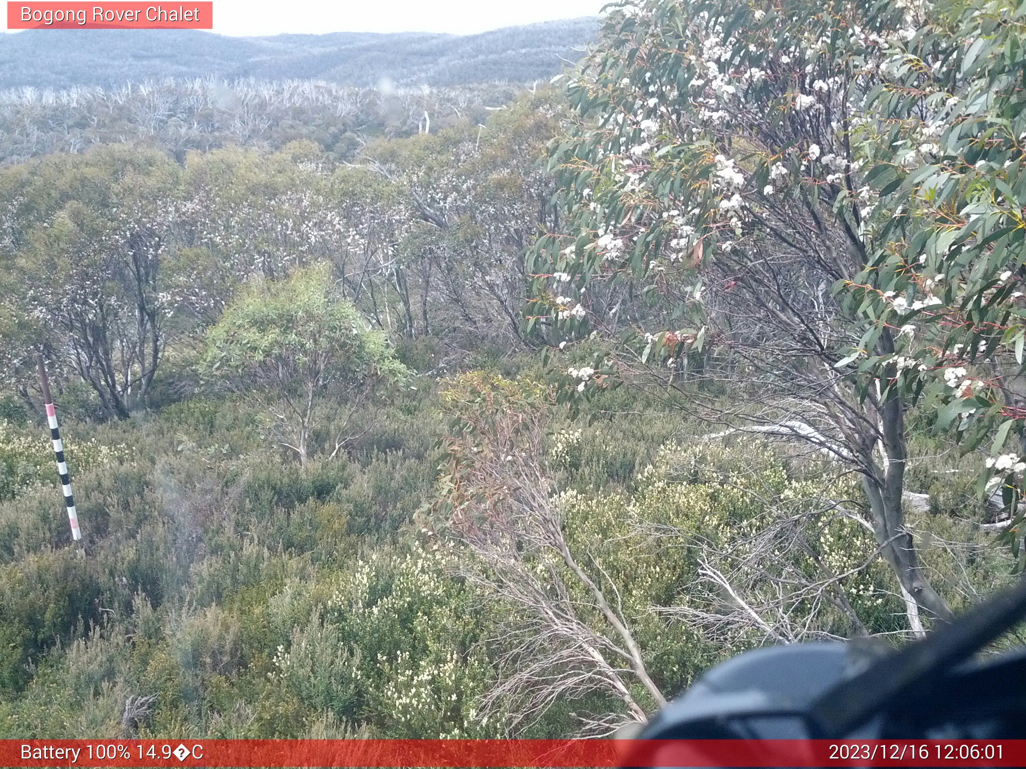 Bogong Web Cam 12:06pm Saturday 16th of December 2023