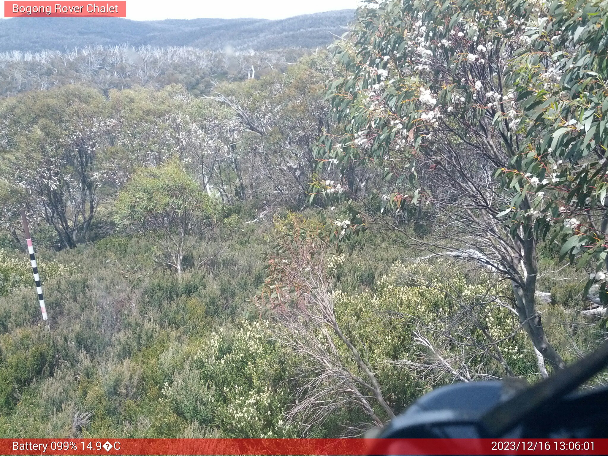 Bogong Web Cam 1:06pm Saturday 16th of December 2023