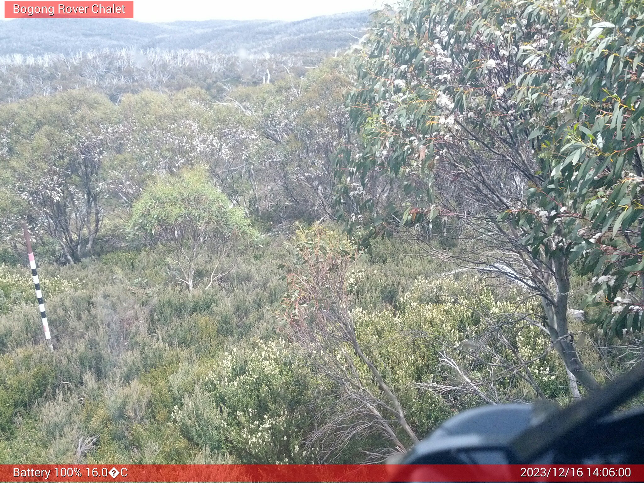 Bogong Web Cam 2:06pm Saturday 16th of December 2023