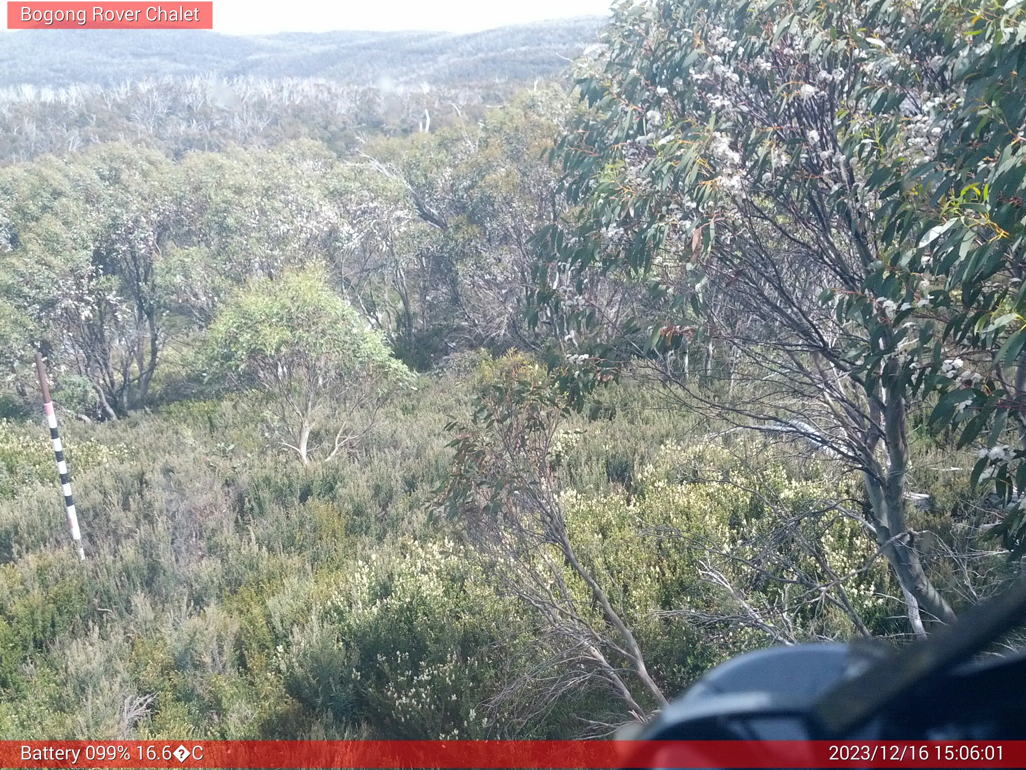 Bogong Web Cam 3:06pm Saturday 16th of December 2023