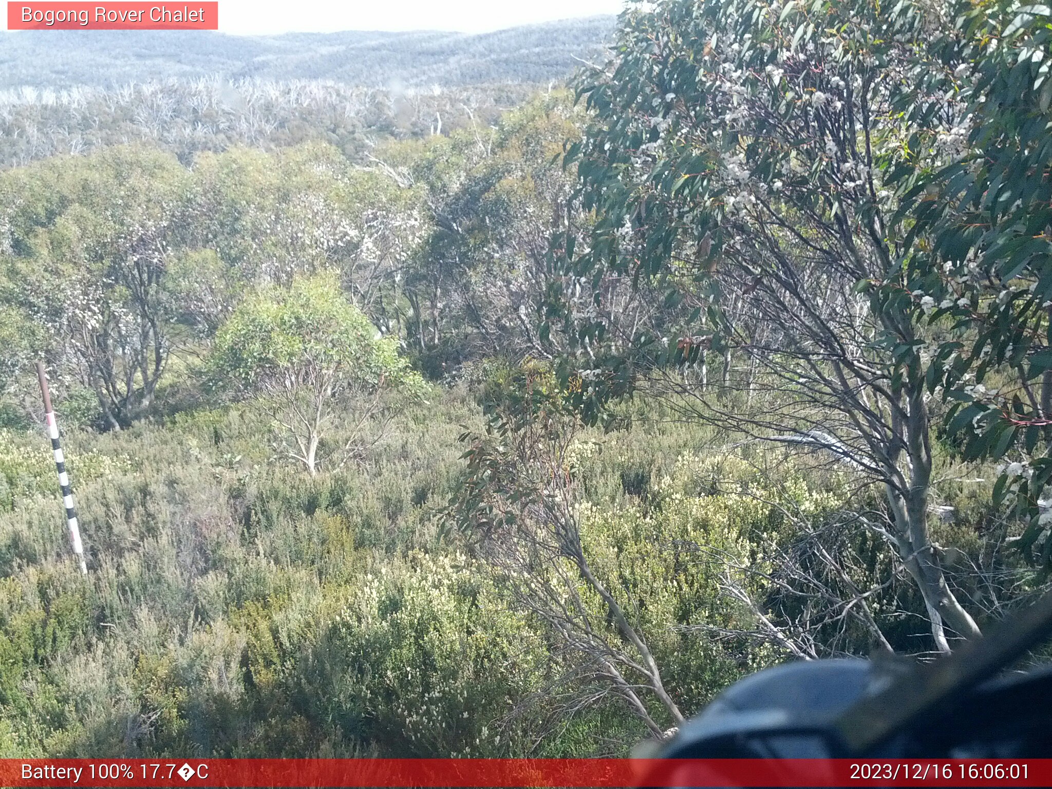 Bogong Web Cam 4:06pm Saturday 16th of December 2023