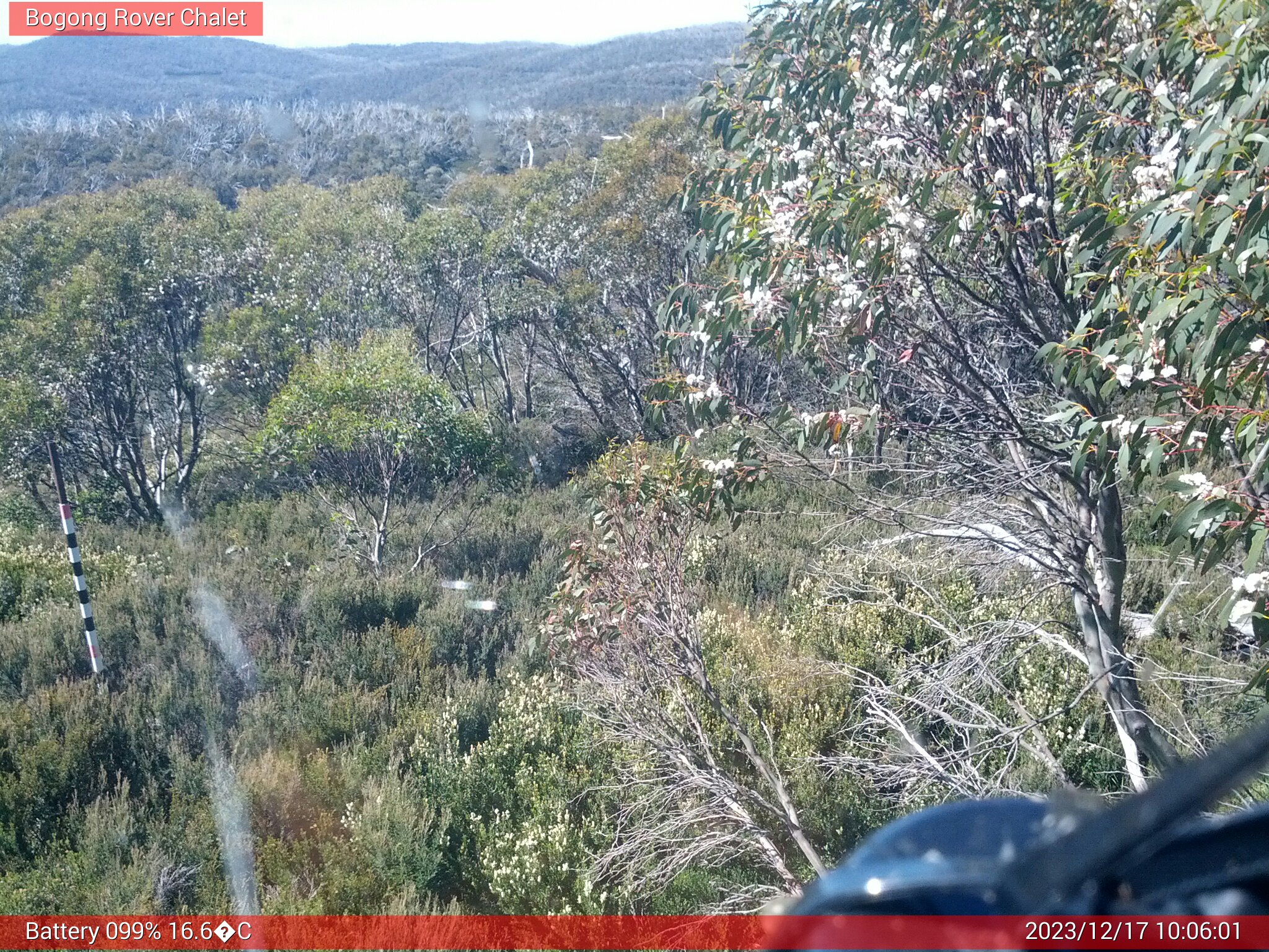 Bogong Web Cam 10:06am Sunday 17th of December 2023