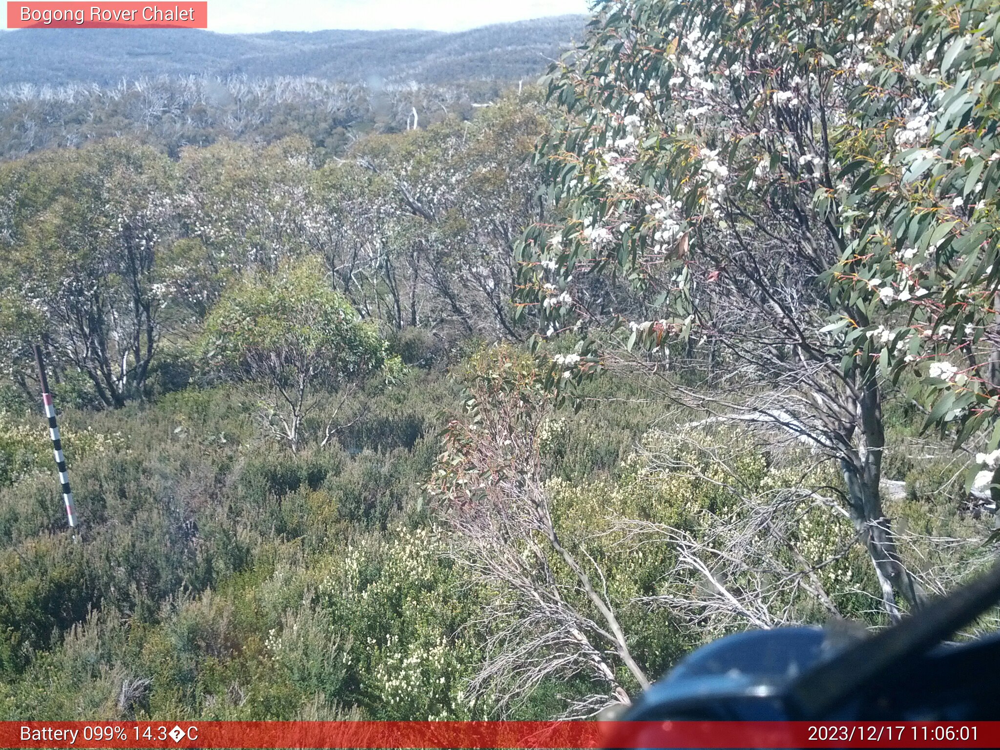 Bogong Web Cam 11:06am Sunday 17th of December 2023