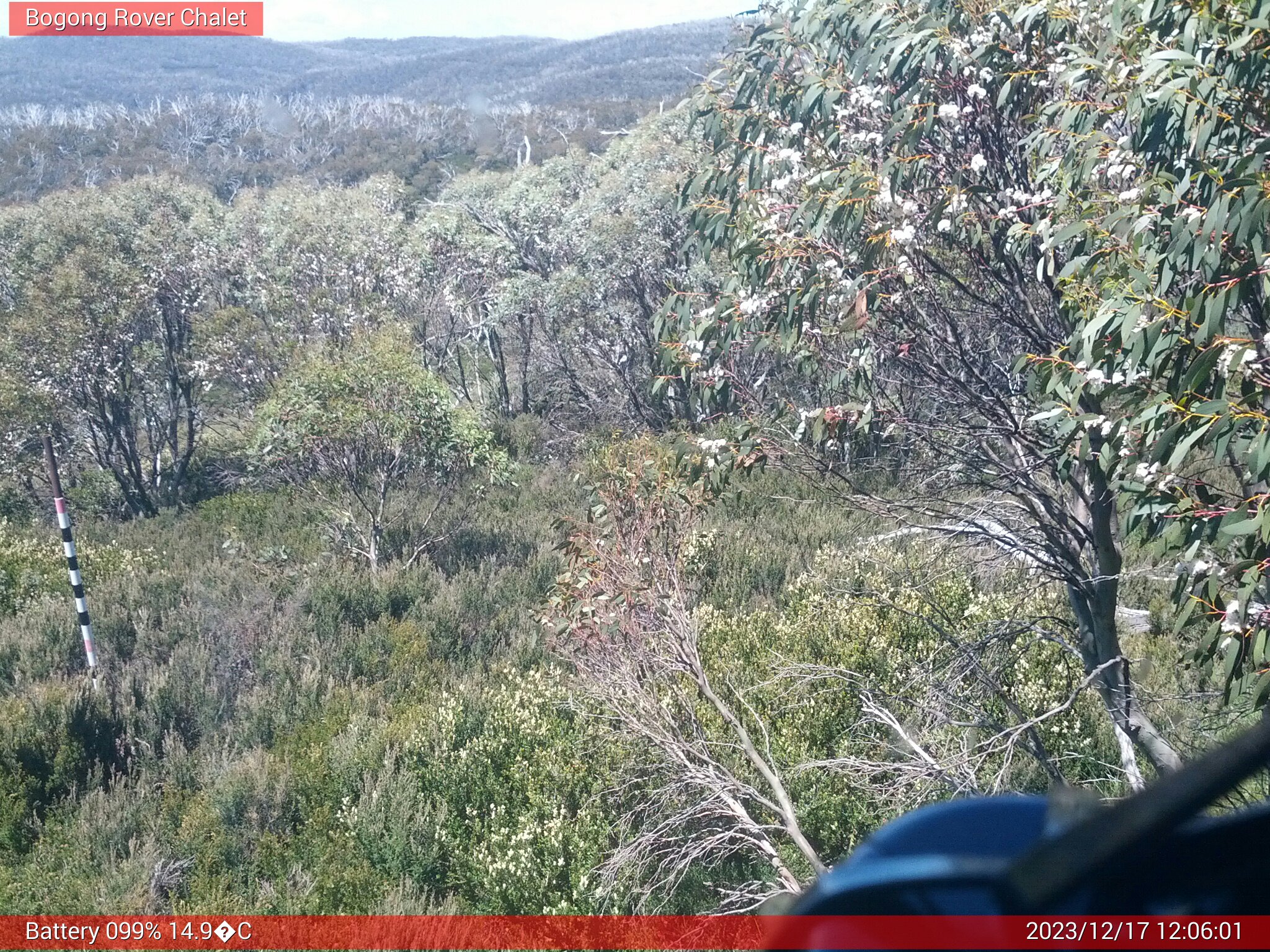 Bogong Web Cam 12:06pm Sunday 17th of December 2023