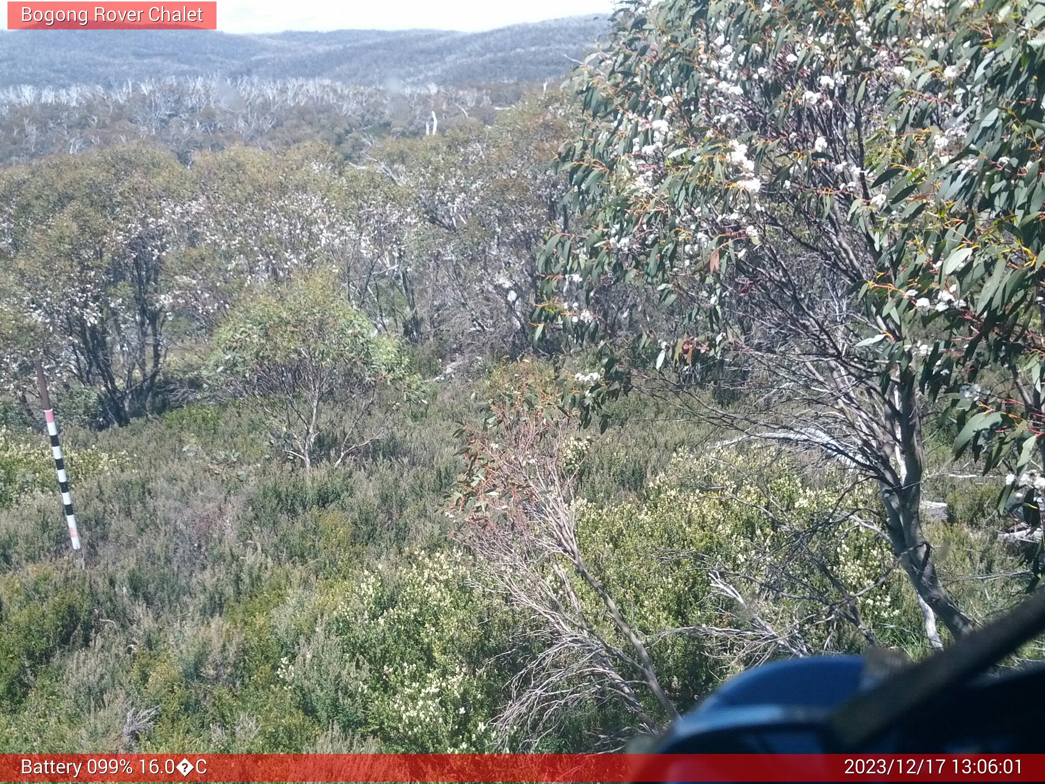 Bogong Web Cam 1:06pm Sunday 17th of December 2023