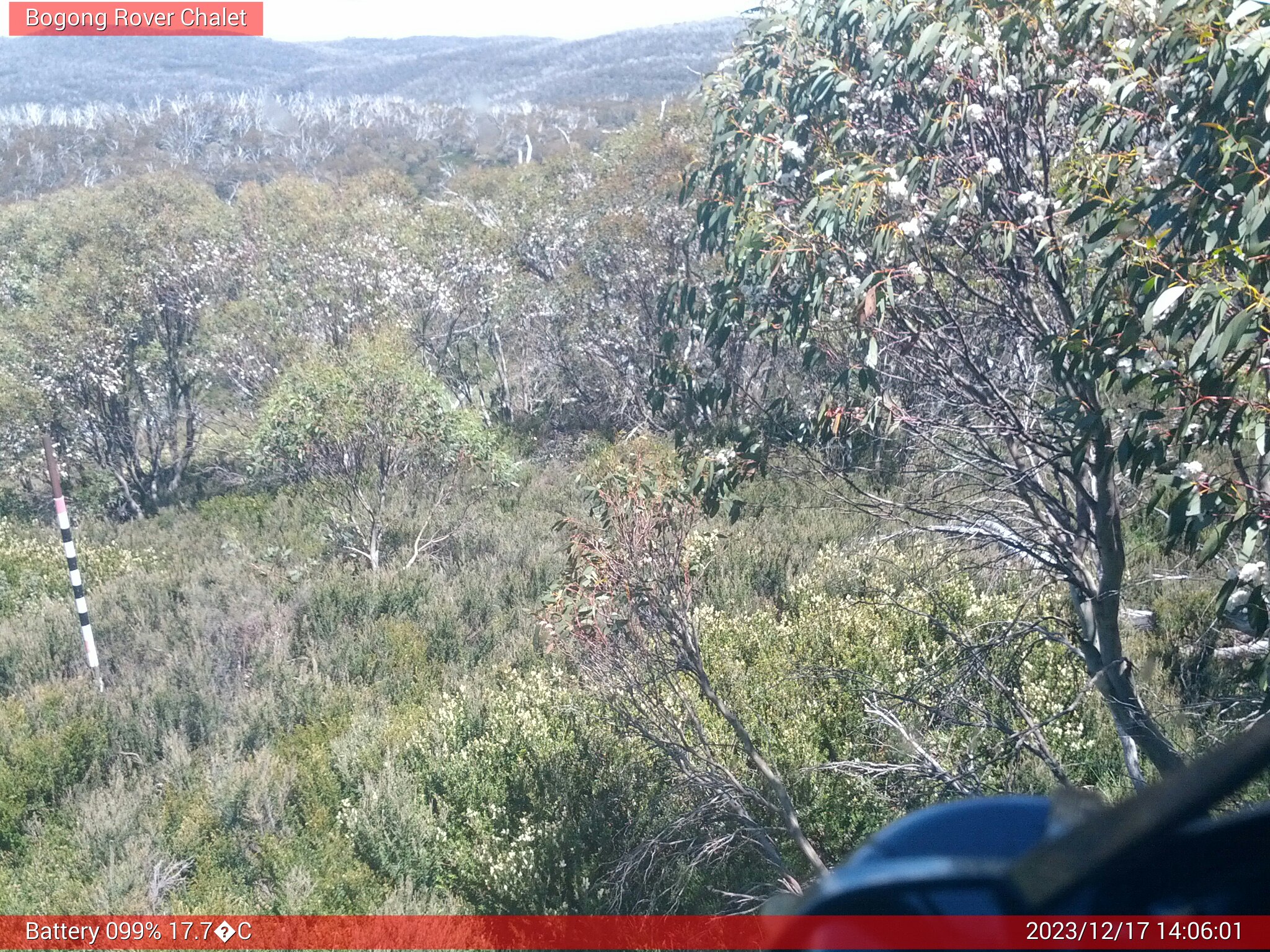 Bogong Web Cam 2:06pm Sunday 17th of December 2023