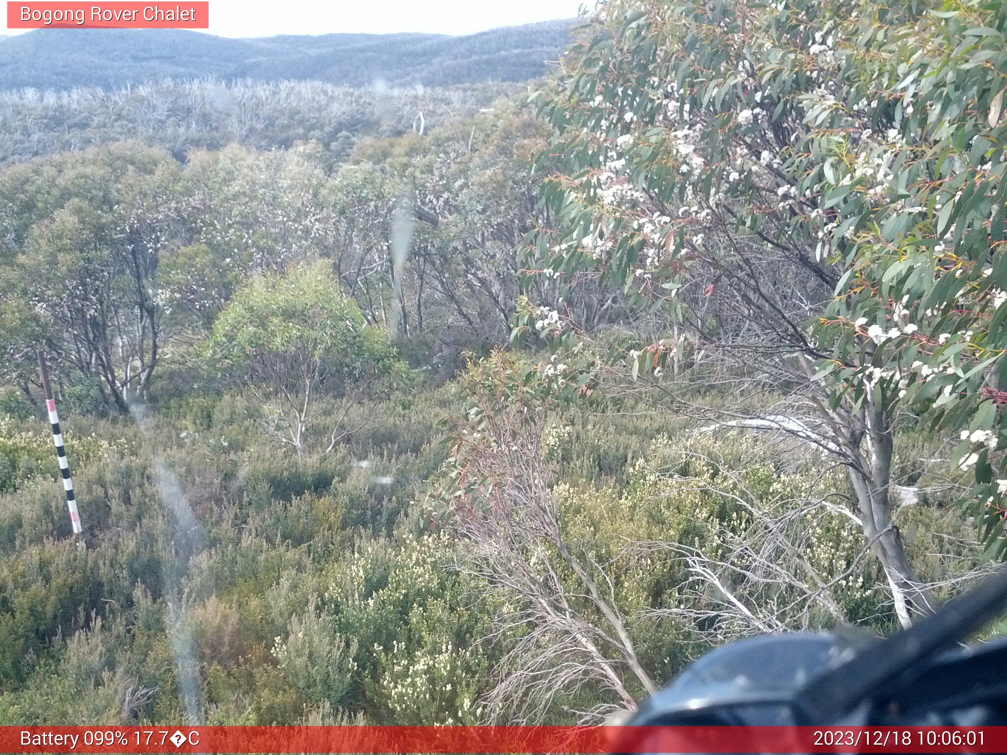 Bogong Web Cam 10:06am Monday 18th of December 2023