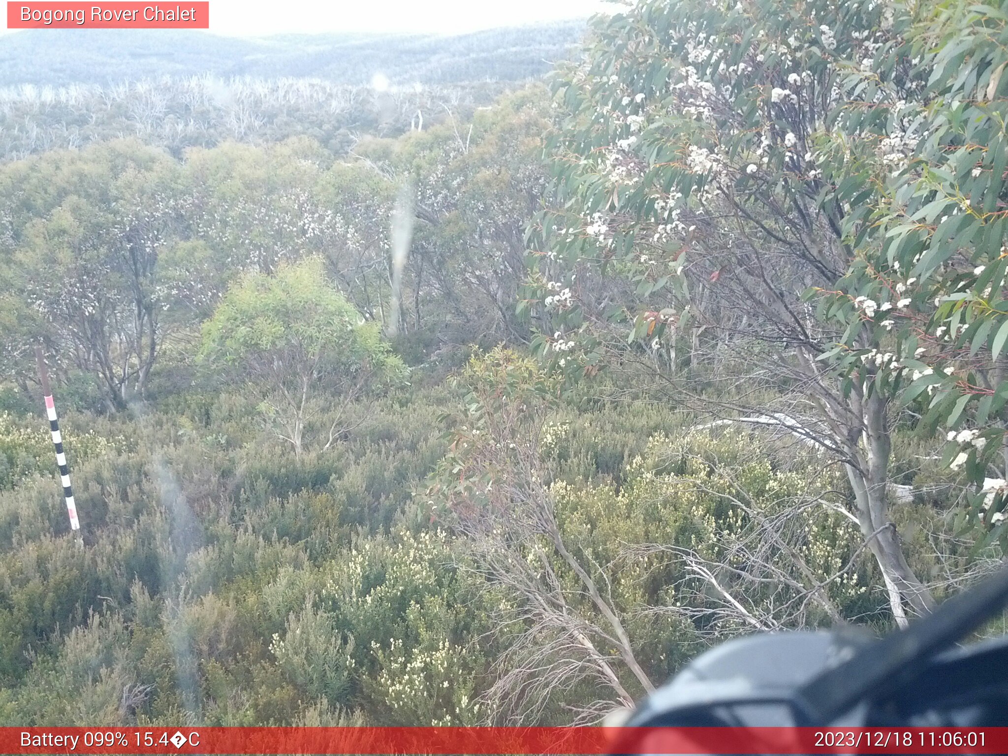 Bogong Web Cam 11:06am Monday 18th of December 2023