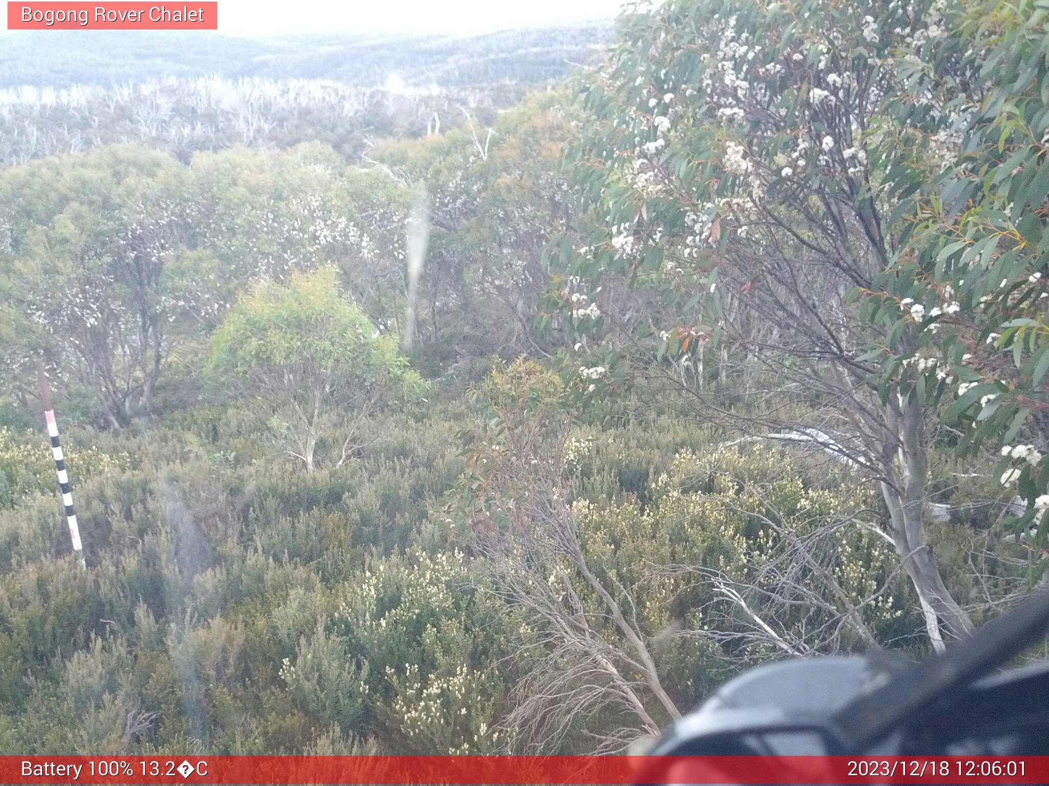 Bogong Web Cam 12:06pm Monday 18th of December 2023