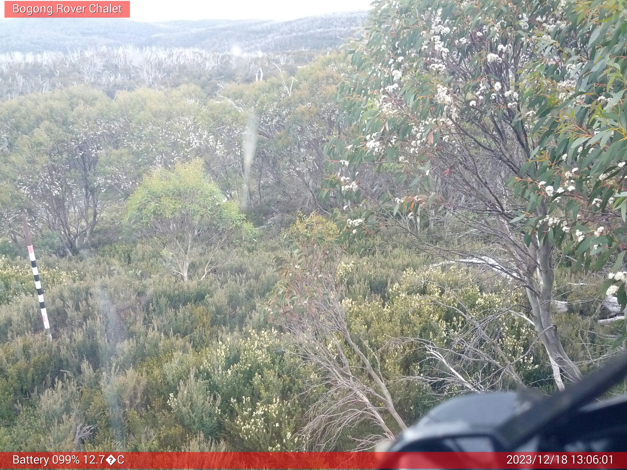 Bogong Web Cam 1:06pm Monday 18th of December 2023