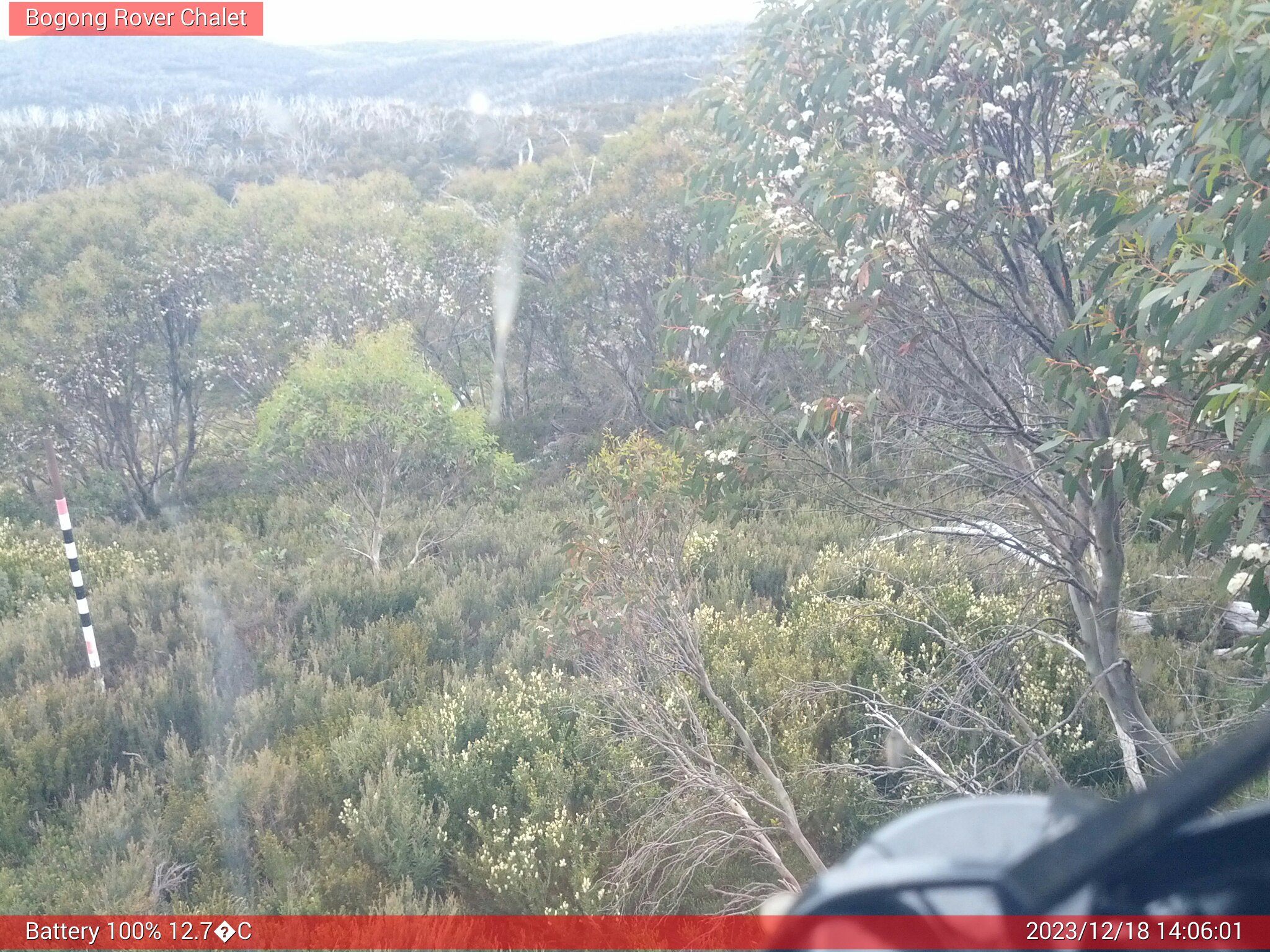 Bogong Web Cam 2:06pm Monday 18th of December 2023