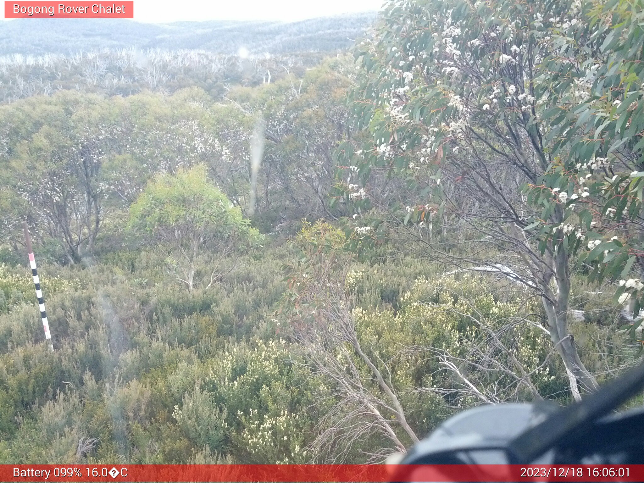 Bogong Web Cam 4:06pm Monday 18th of December 2023