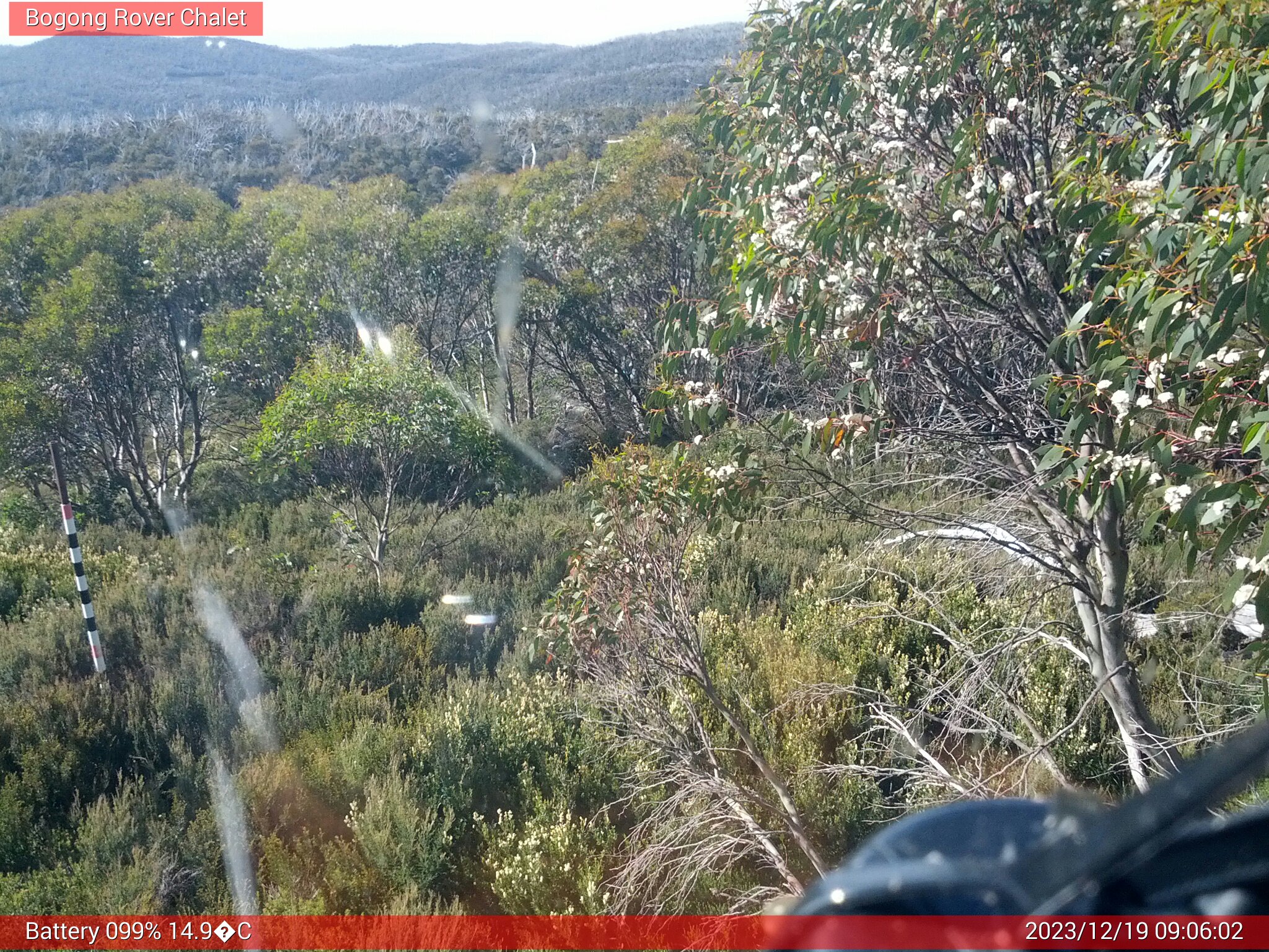 Bogong Web Cam 9:06am Tuesday 19th of December 2023