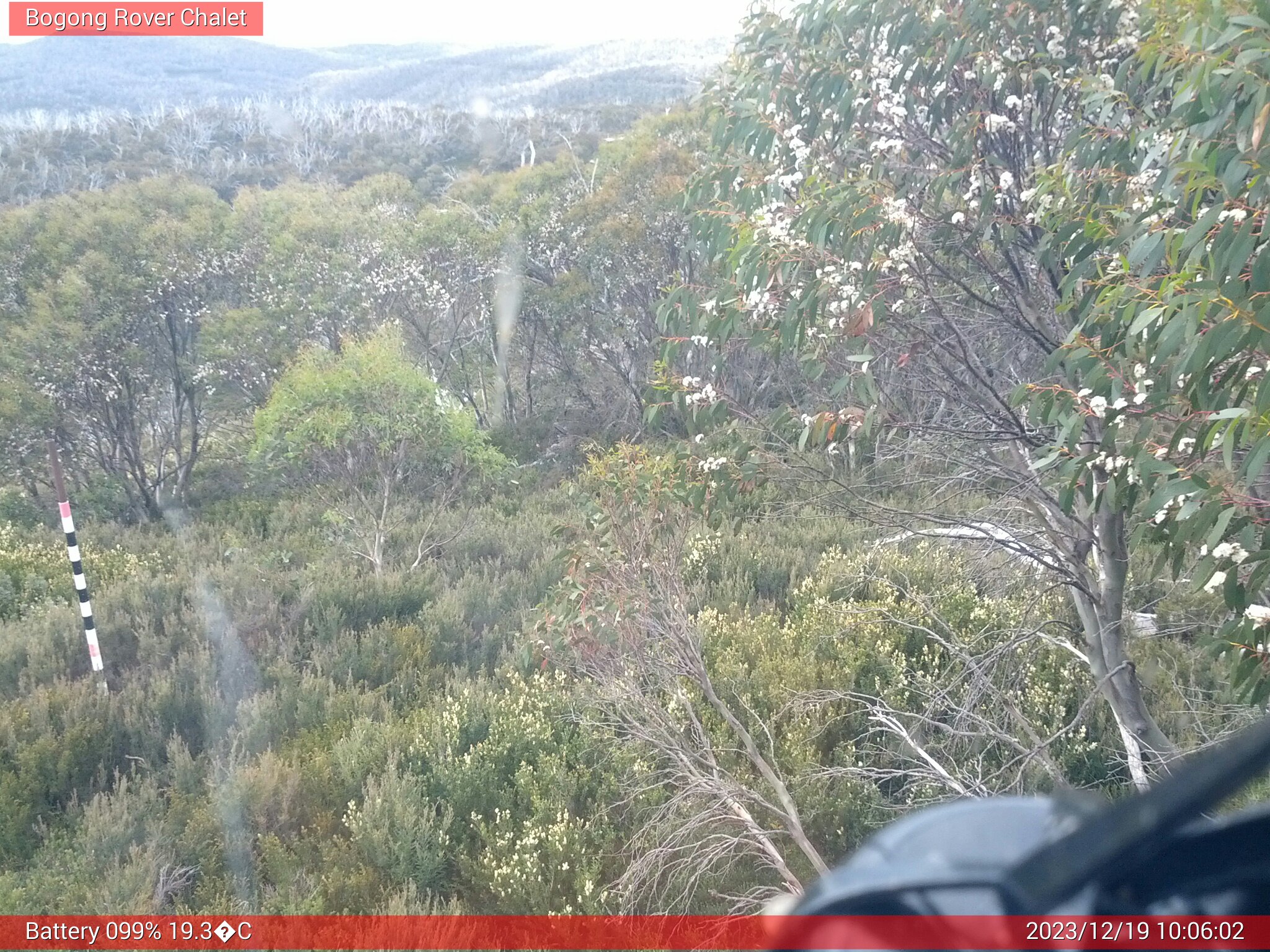 Bogong Web Cam 10:06am Tuesday 19th of December 2023