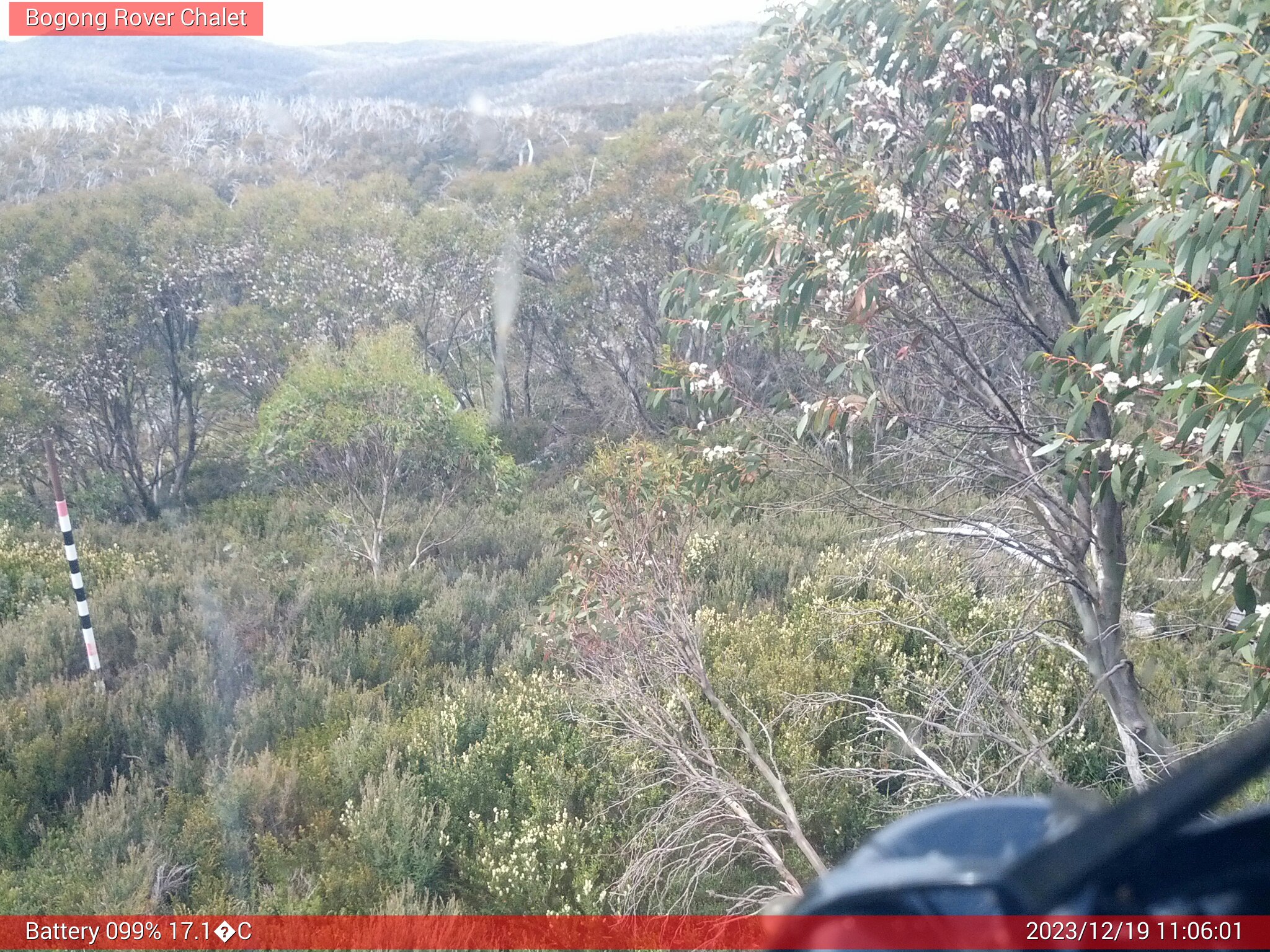 Bogong Web Cam 11:06am Tuesday 19th of December 2023