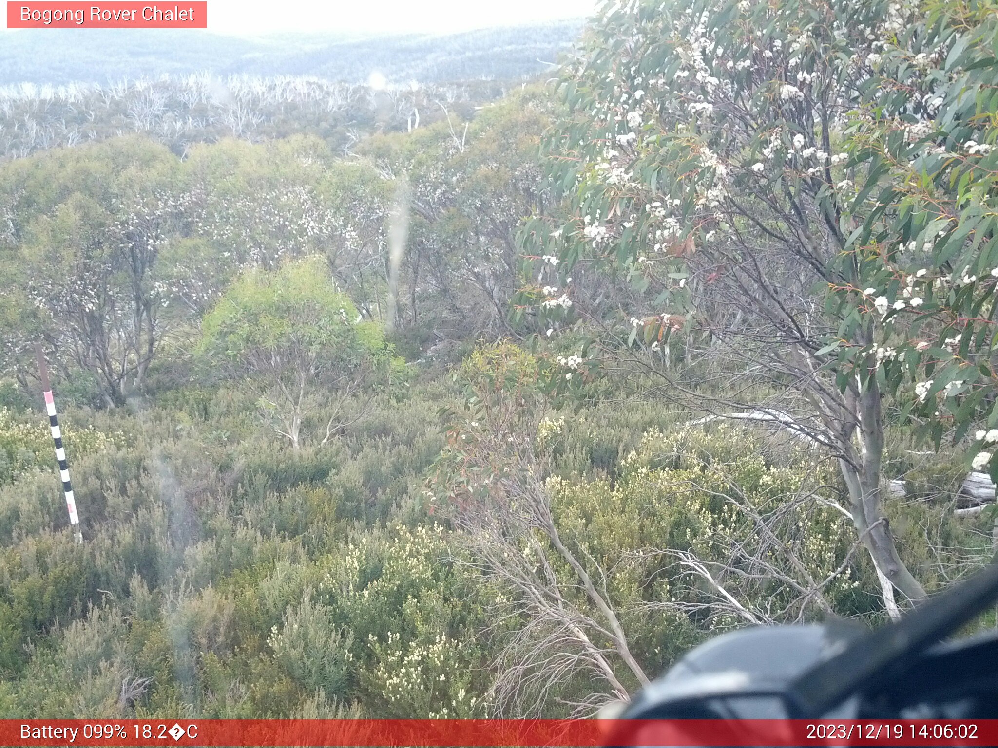 Bogong Web Cam 2:06pm Tuesday 19th of December 2023