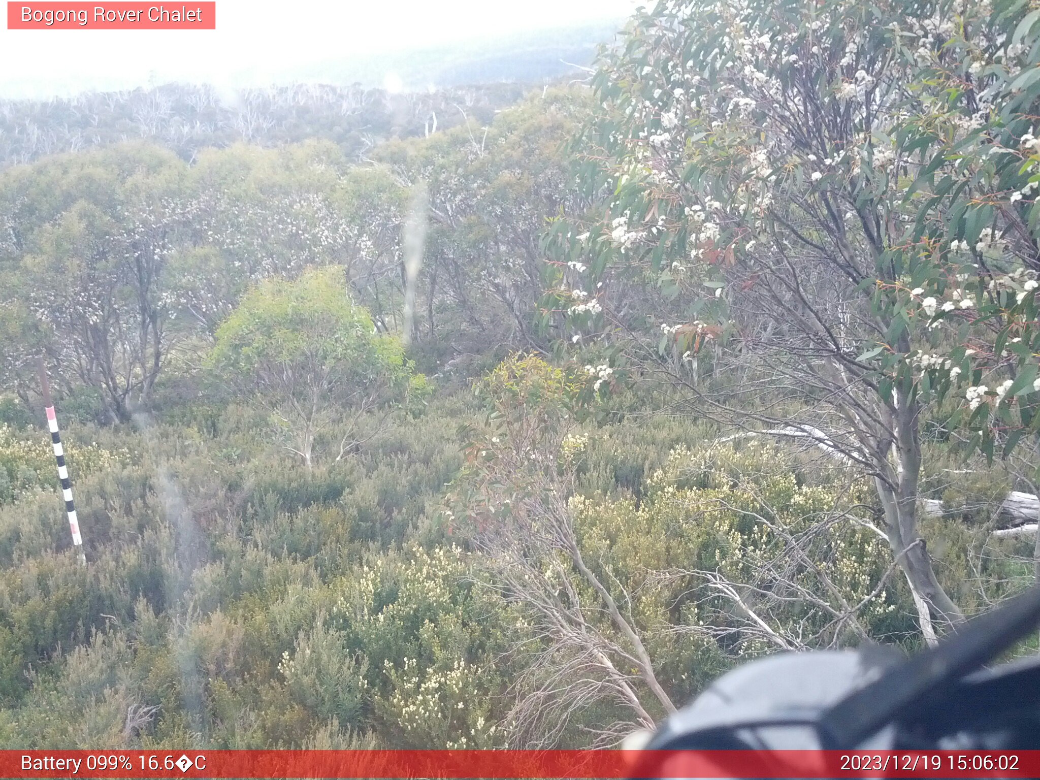 Bogong Web Cam 3:06pm Tuesday 19th of December 2023