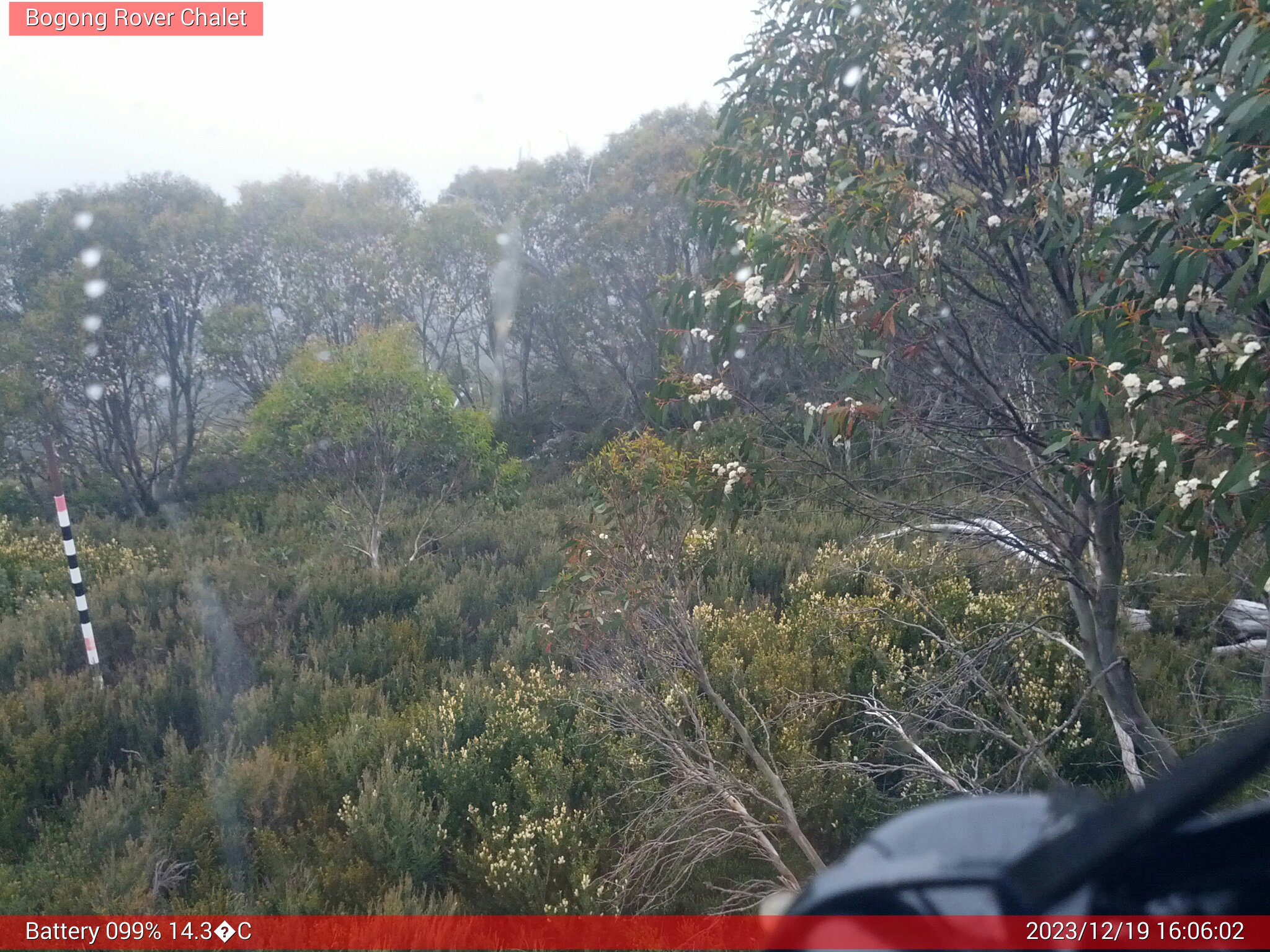 Bogong Web Cam 4:06pm Tuesday 19th of December 2023