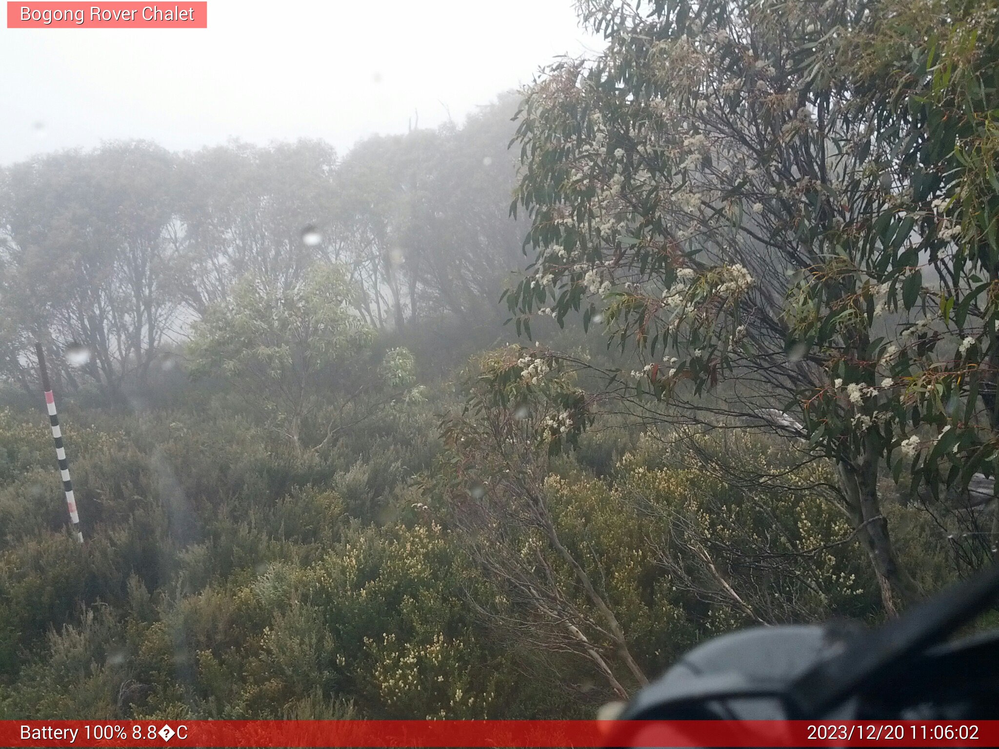 Bogong Web Cam 11:06am Wednesday 20th of December 2023