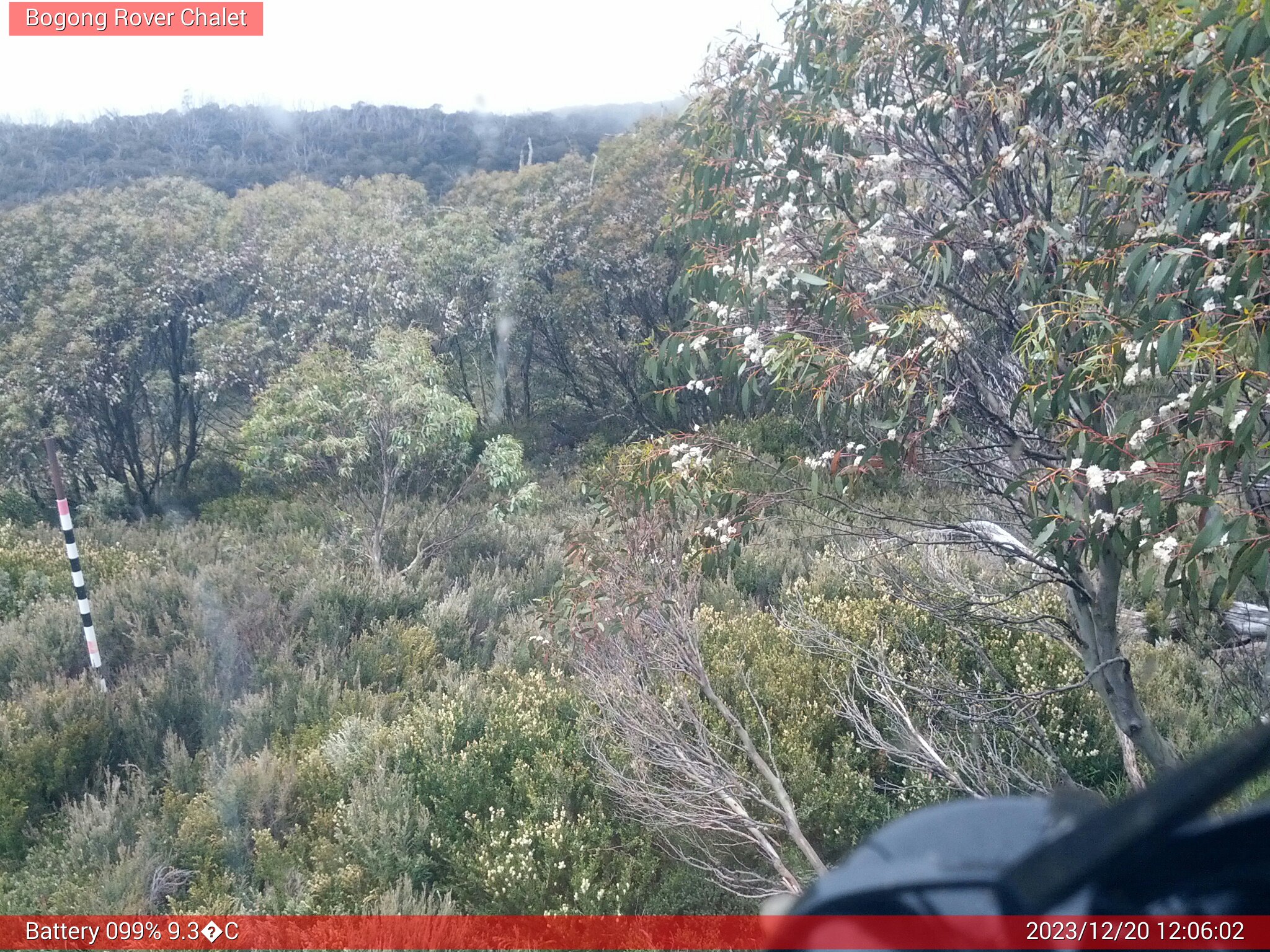 Bogong Web Cam 12:06pm Wednesday 20th of December 2023