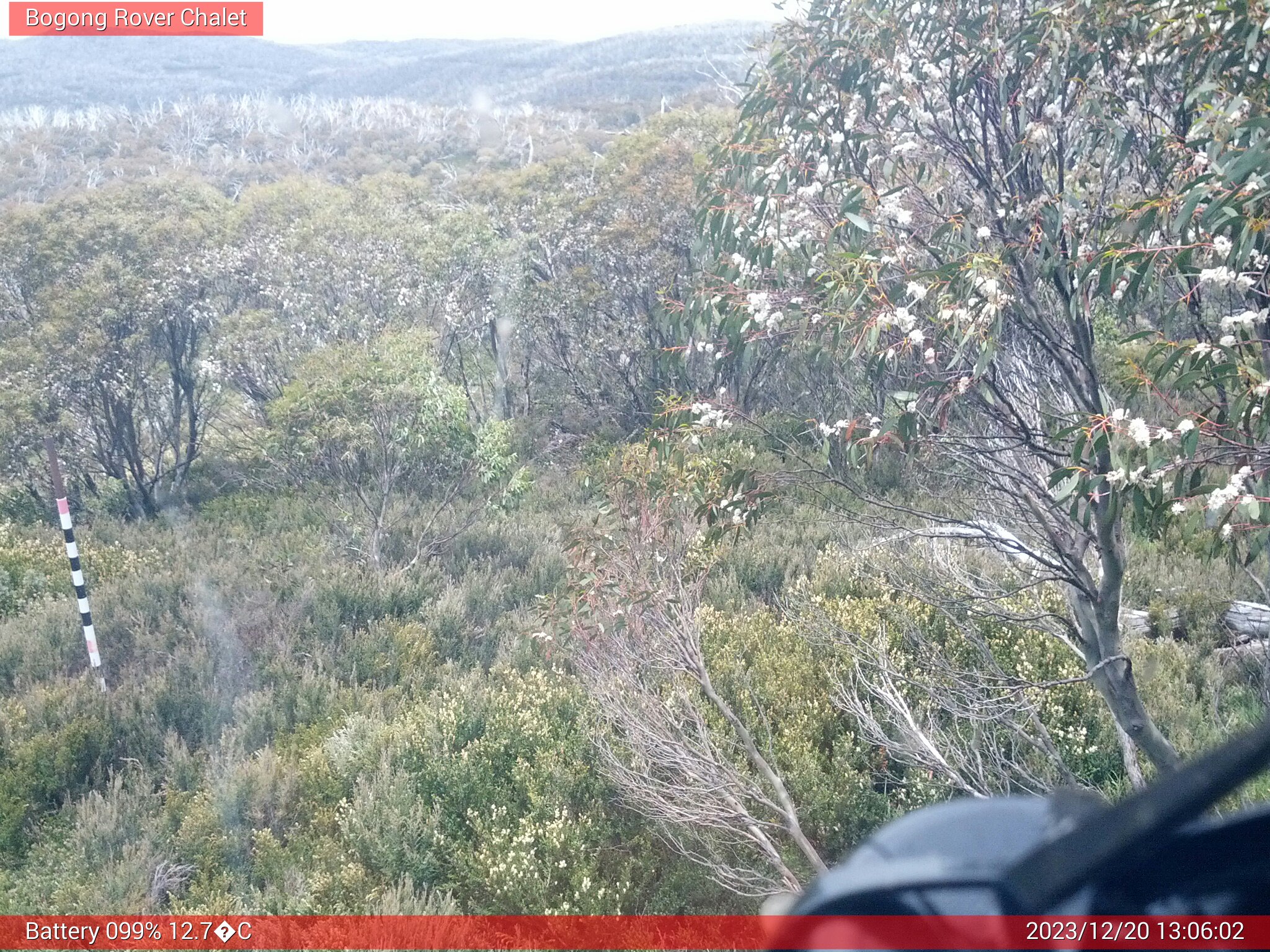 Bogong Web Cam 1:06pm Wednesday 20th of December 2023