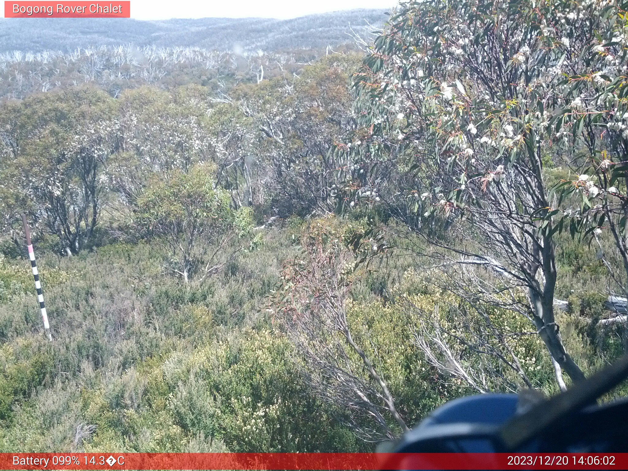 Bogong Web Cam 2:06pm Wednesday 20th of December 2023