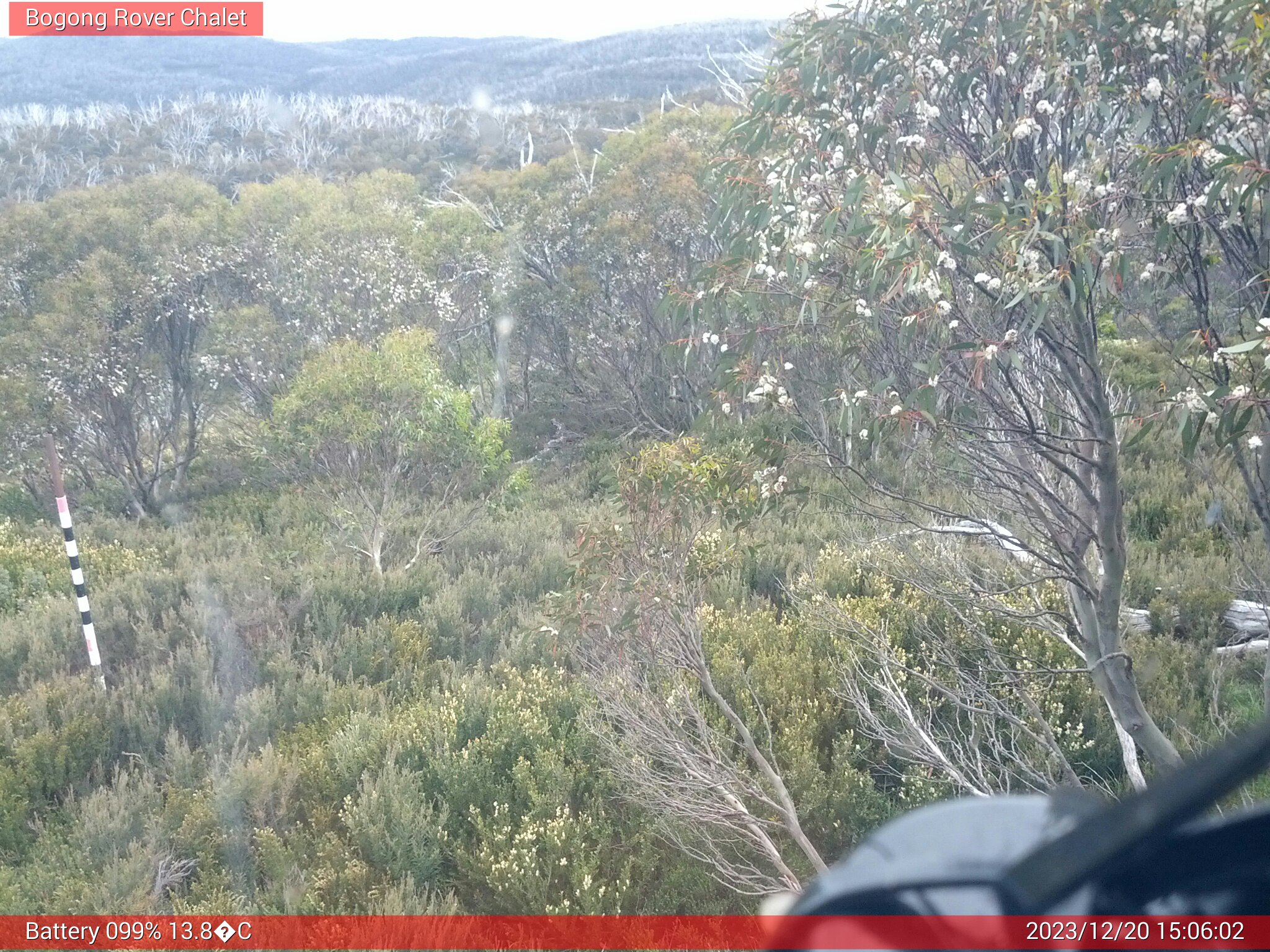 Bogong Web Cam 3:06pm Wednesday 20th of December 2023