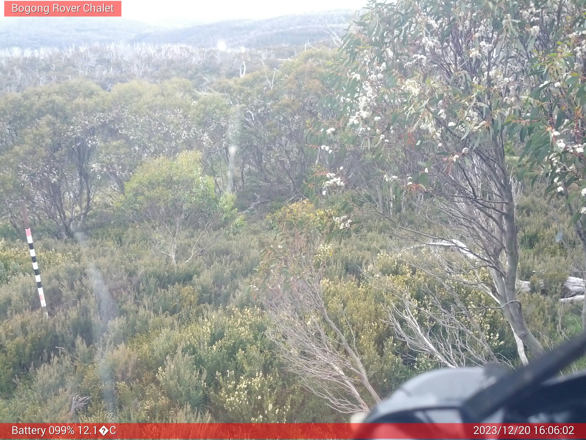 Bogong Web Cam 4:06pm Wednesday 20th of December 2023