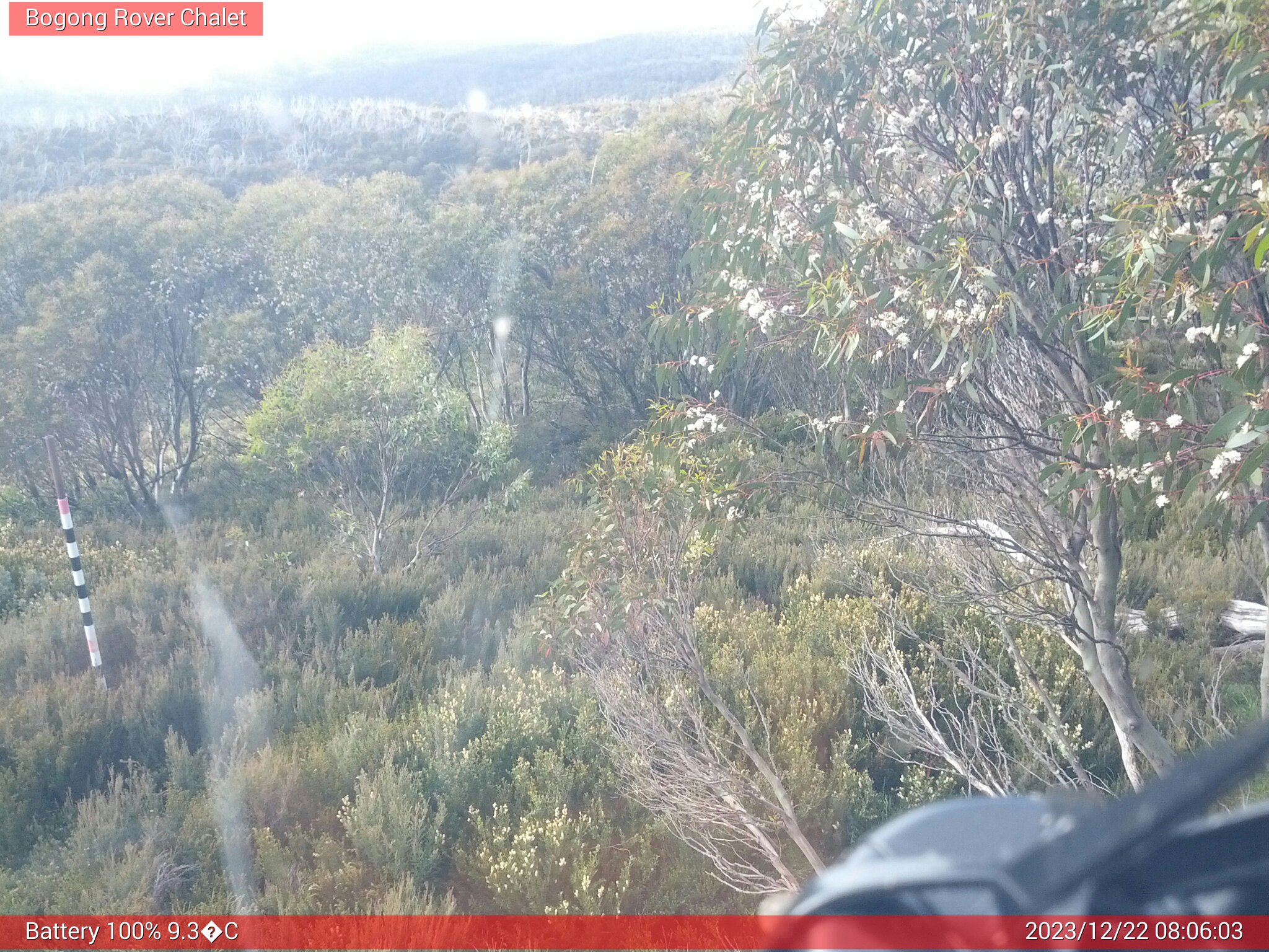 Bogong Web Cam 8:06am Friday 22nd of December 2023