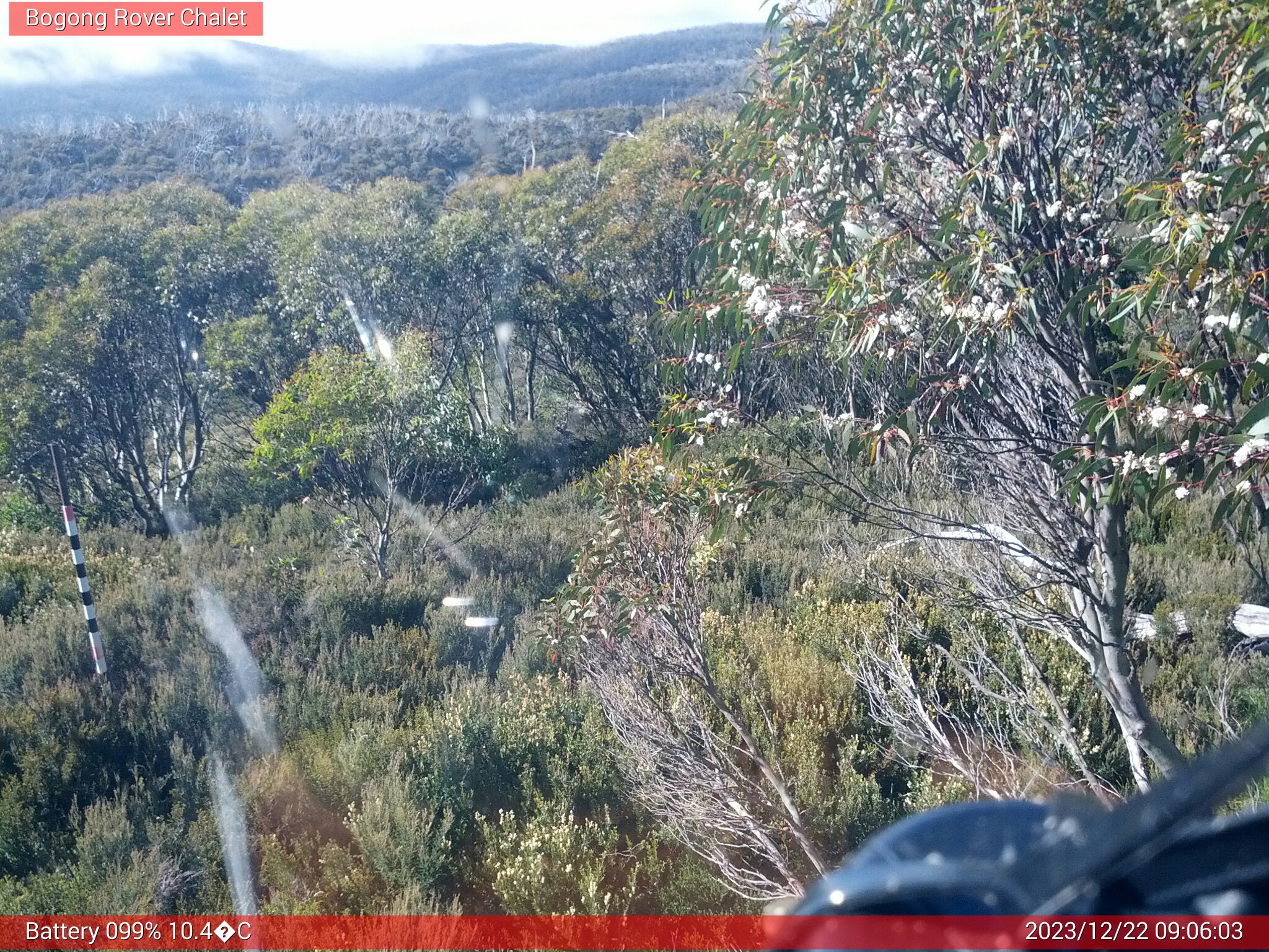 Bogong Web Cam 9:06am Friday 22nd of December 2023