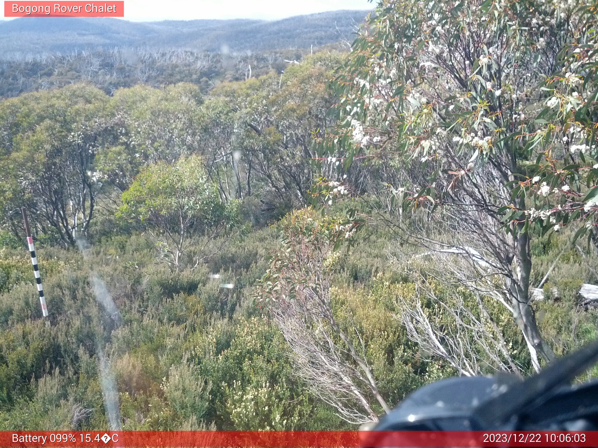 Bogong Web Cam 10:06am Friday 22nd of December 2023