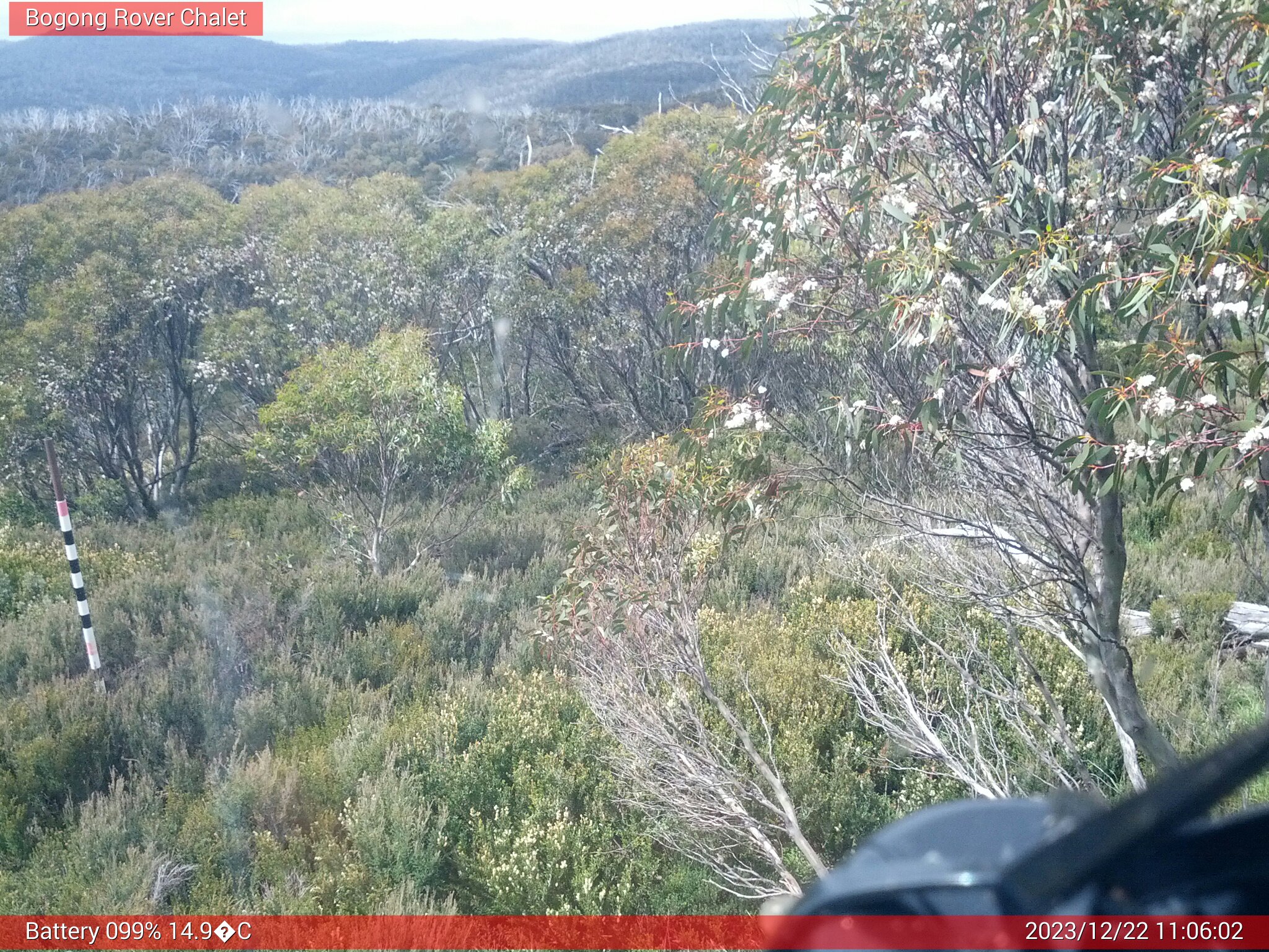 Bogong Web Cam 11:06am Friday 22nd of December 2023