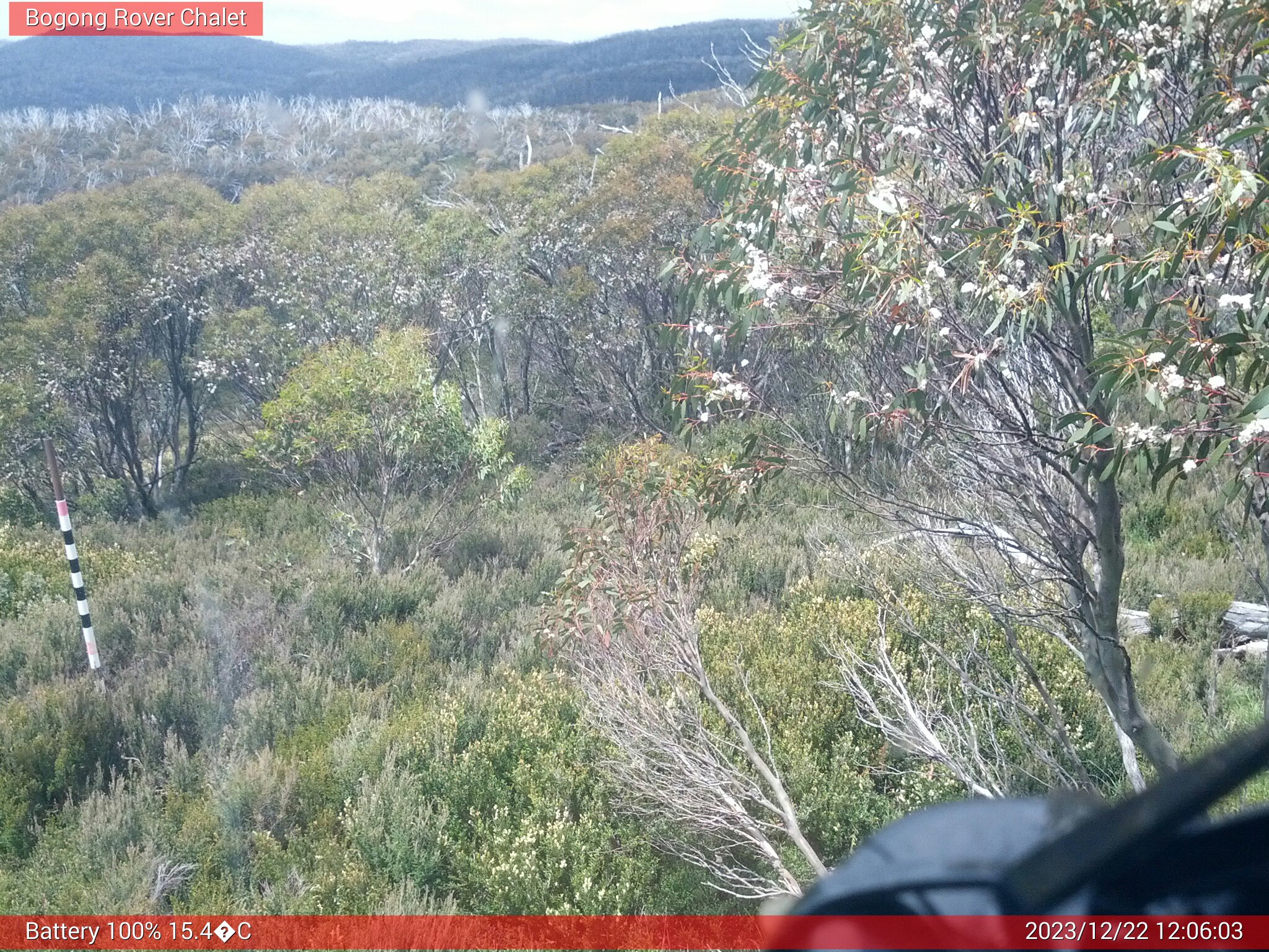 Bogong Web Cam 12:06pm Friday 22nd of December 2023