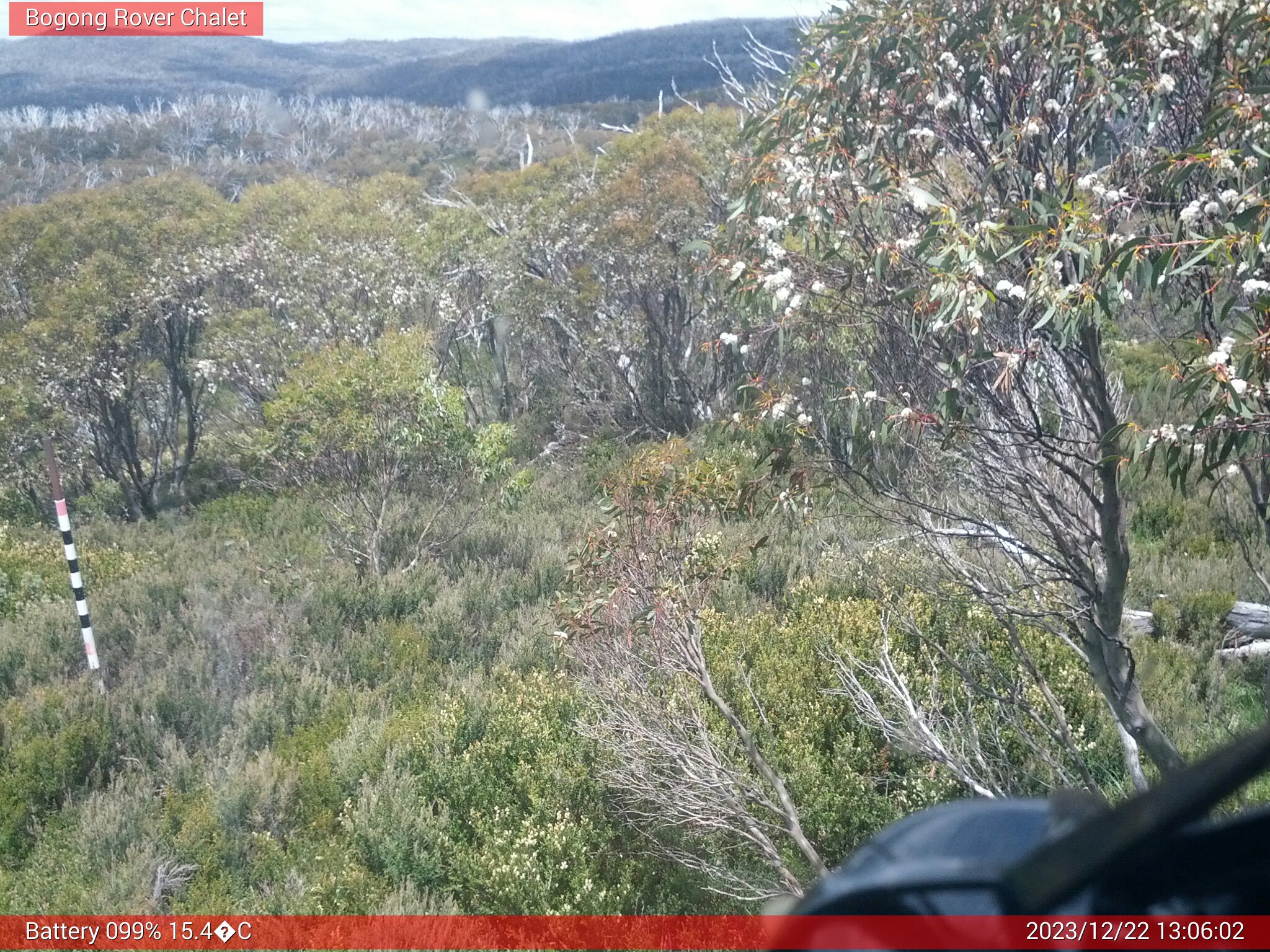 Bogong Web Cam 1:06pm Friday 22nd of December 2023